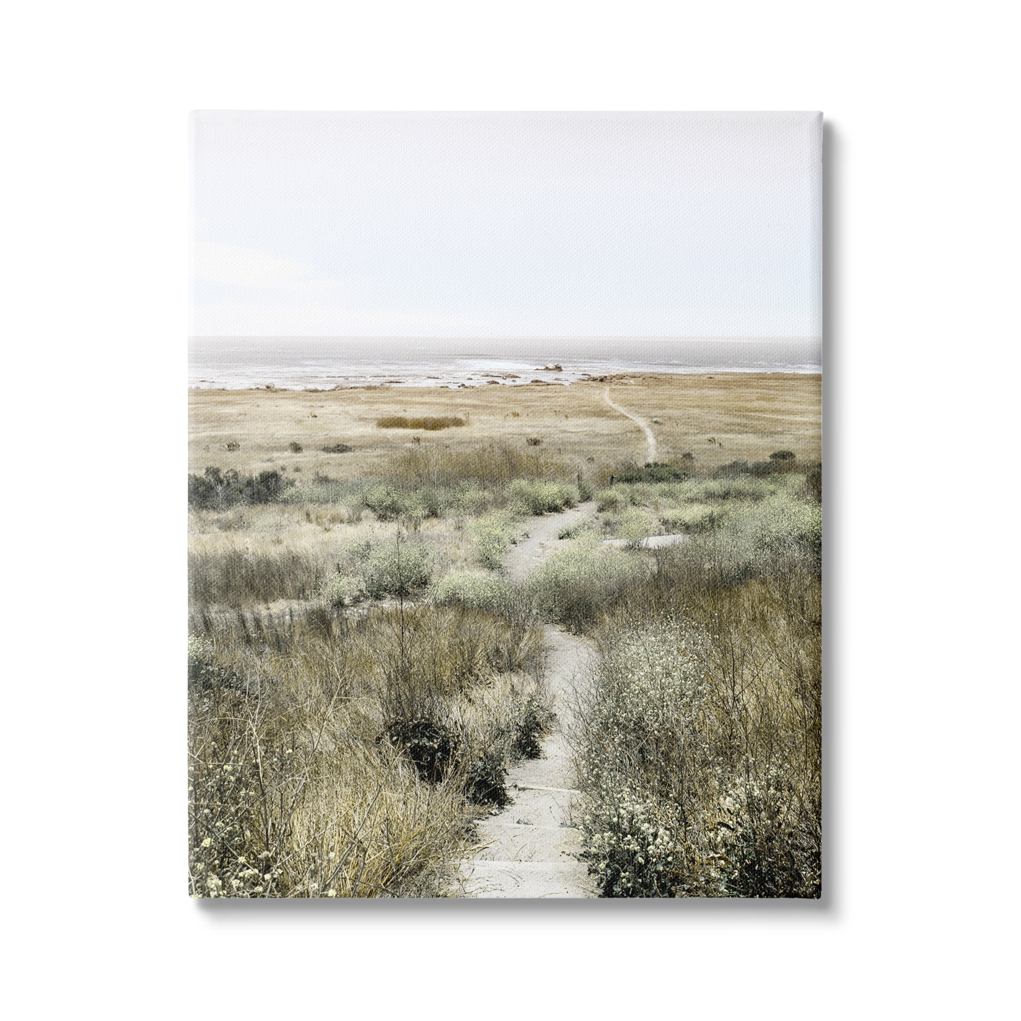 Stupell Industries Distant Shoreline Grassy Beach Path Cloudy Horizon, 36 x 48, Design by Danita Delimont