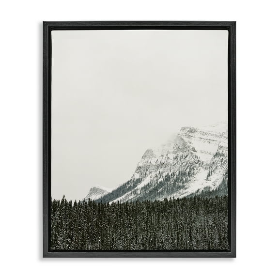 Stupell Industries Distant Snowy Peaks Landscape Photography Black Floater Framed Art Print Wall Art, 17 x 21