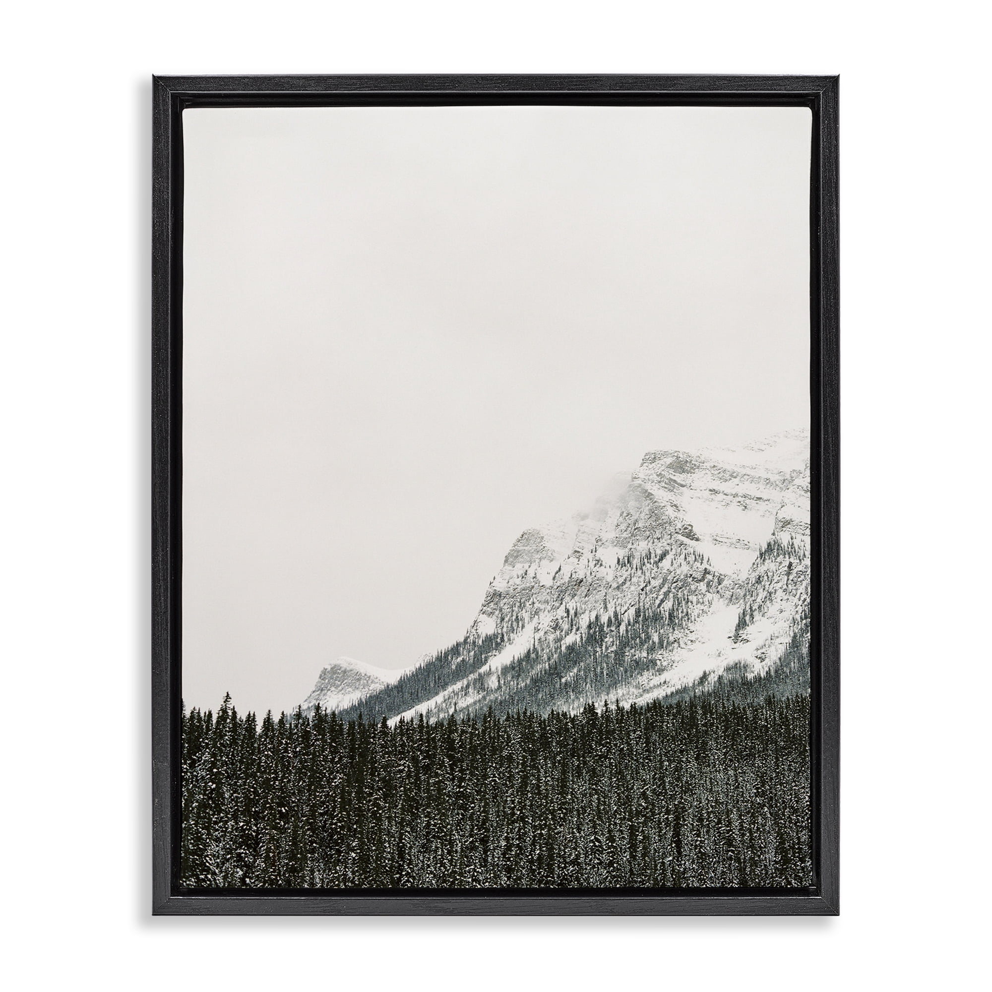 Stupell Industries Distant Snowy Peaks Landscape Photography Black Floater Framed Art Print Wall Art, 25 x 31