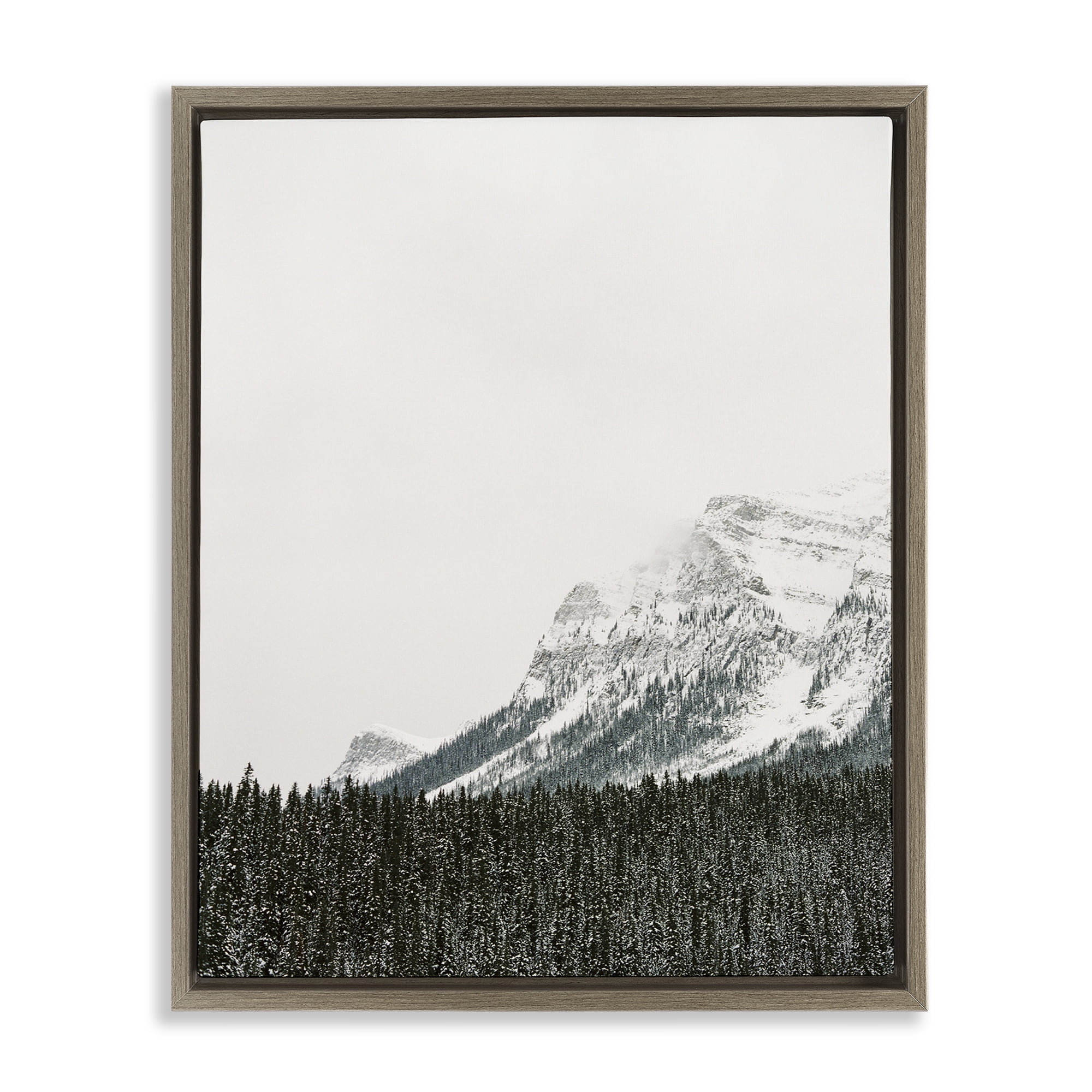 Stupell Industries Distant Snowy Peaks Landscape Photography Brown Floater Framed Art Print Wall Art, 17 x 21