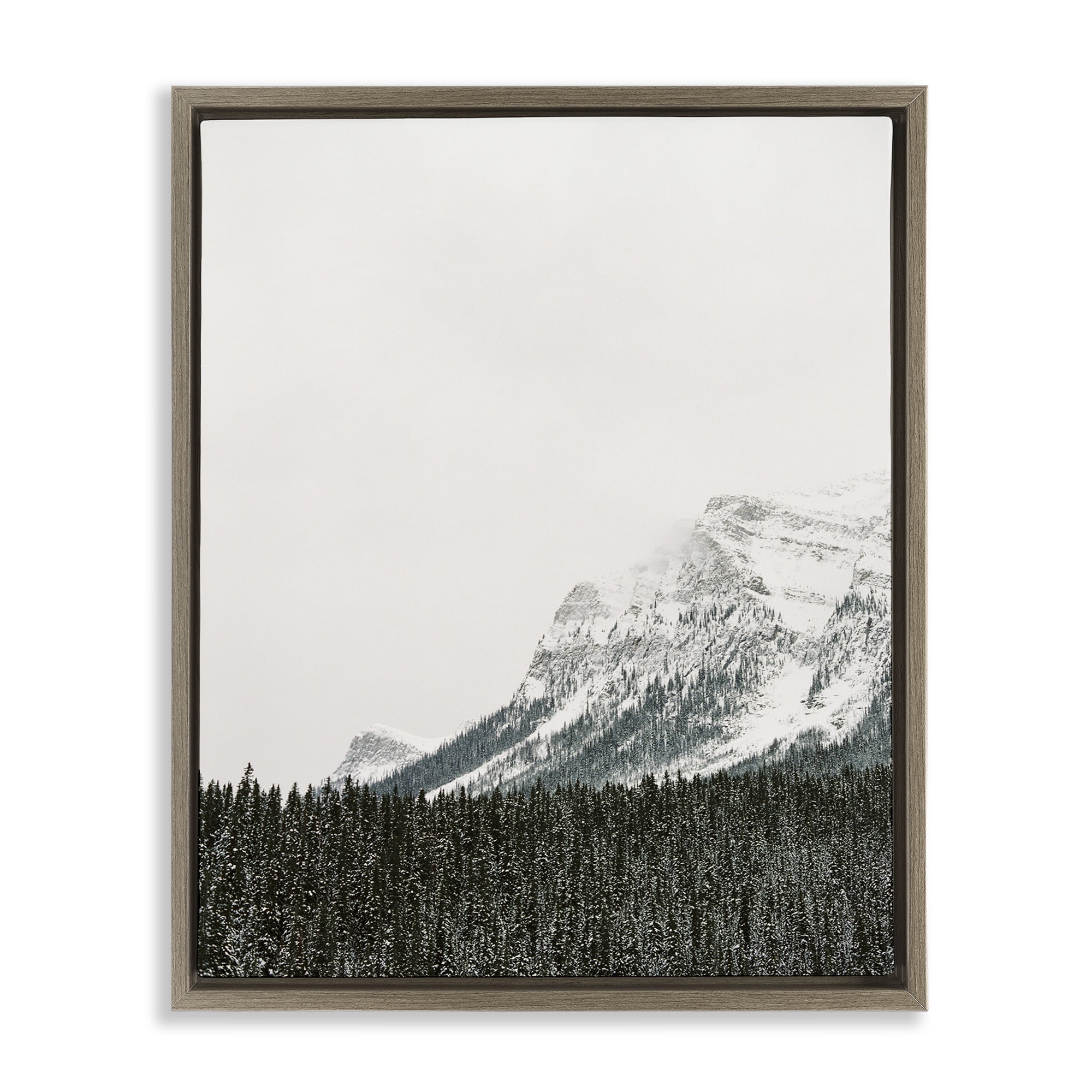 Stupell Industries Distant Snowy Peaks Landscape Photography Brown Floater Framed Art Print Wall Art, 25 x 31