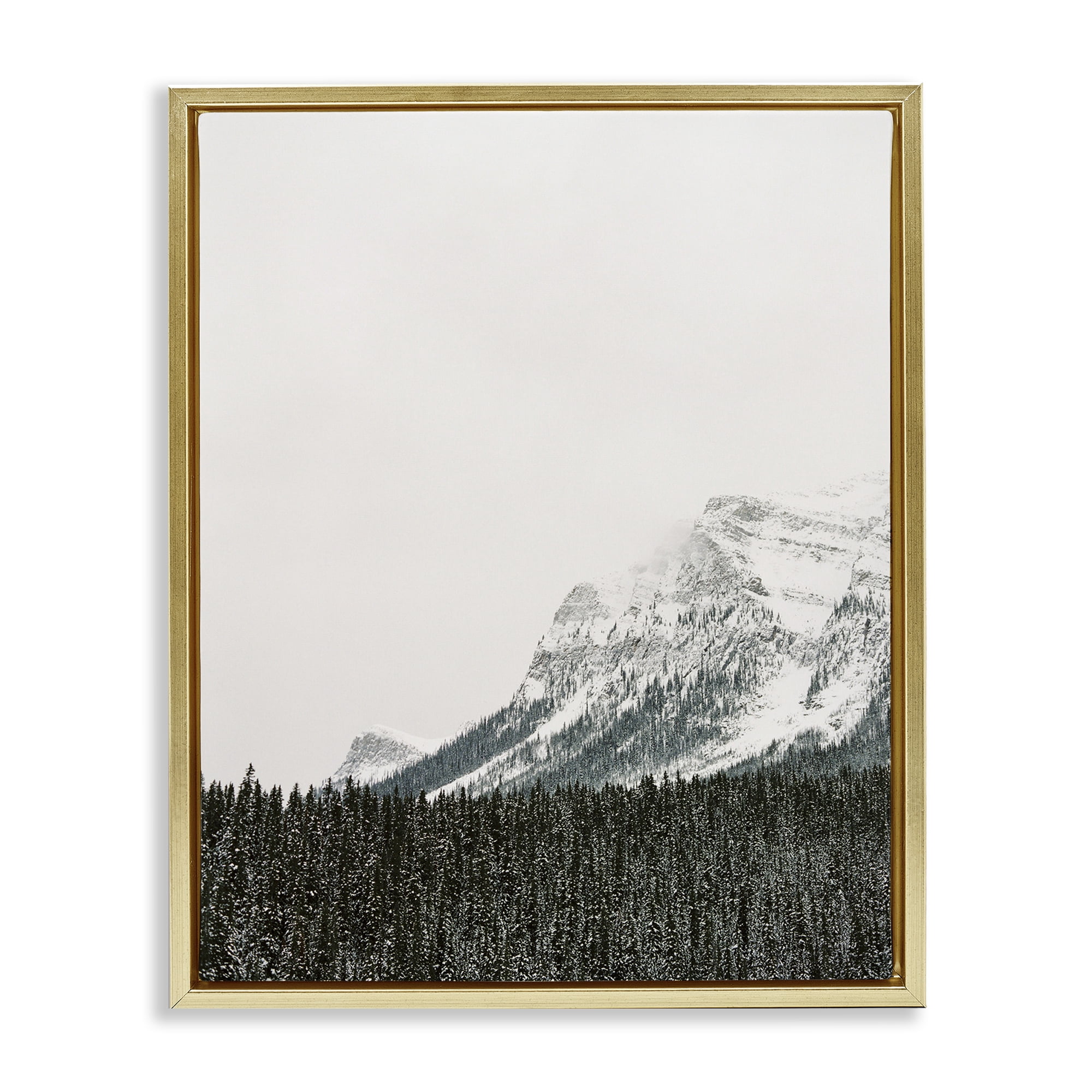 Stupell Industries Distant Snowy Peaks Landscape Photography Gold Floater Framed Art Print Wall Art, 25 x 31