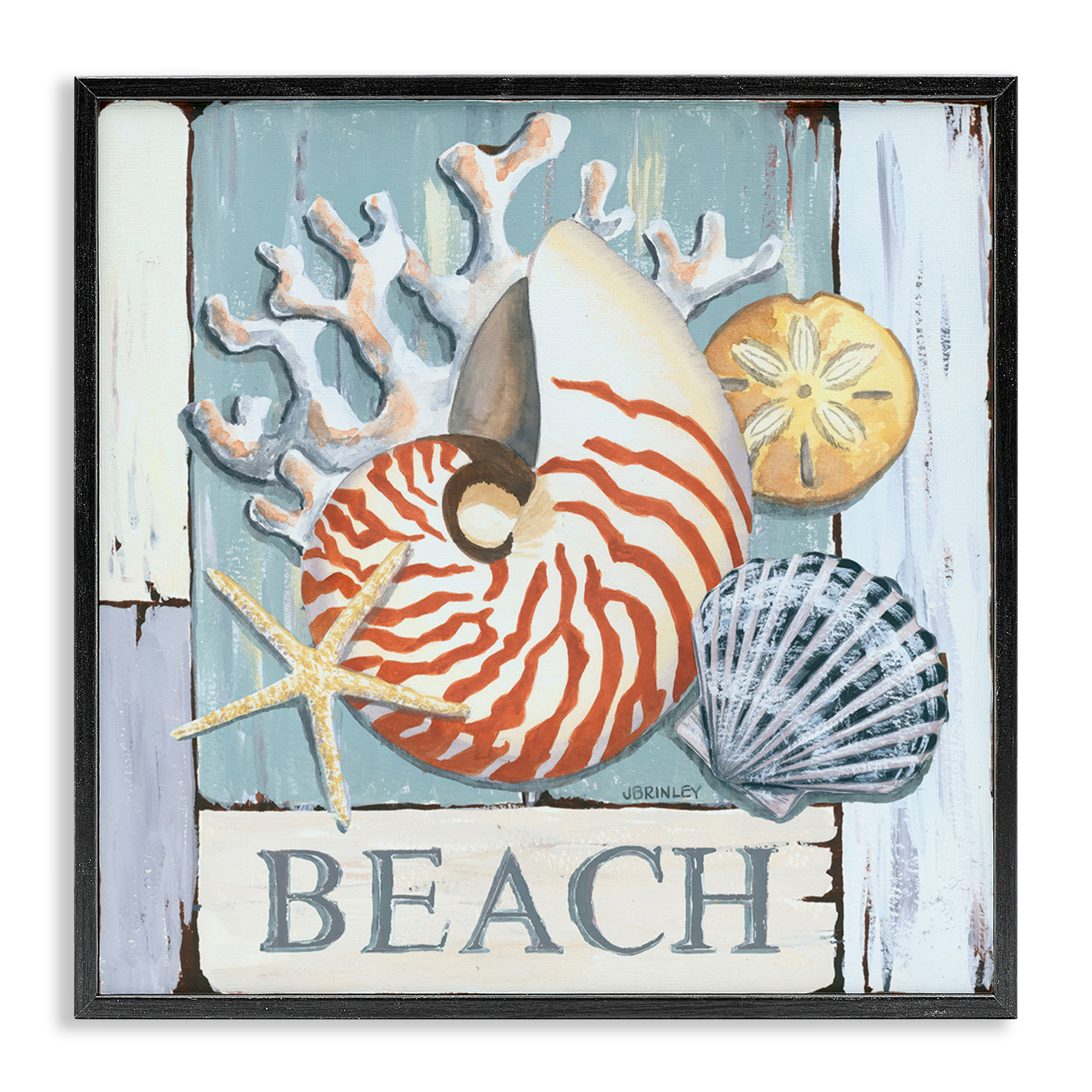 Stupell Industries Distressed Beach Shells Nautical & Beach Painting Black Framed Art Print Wall Art, 24 x 24
