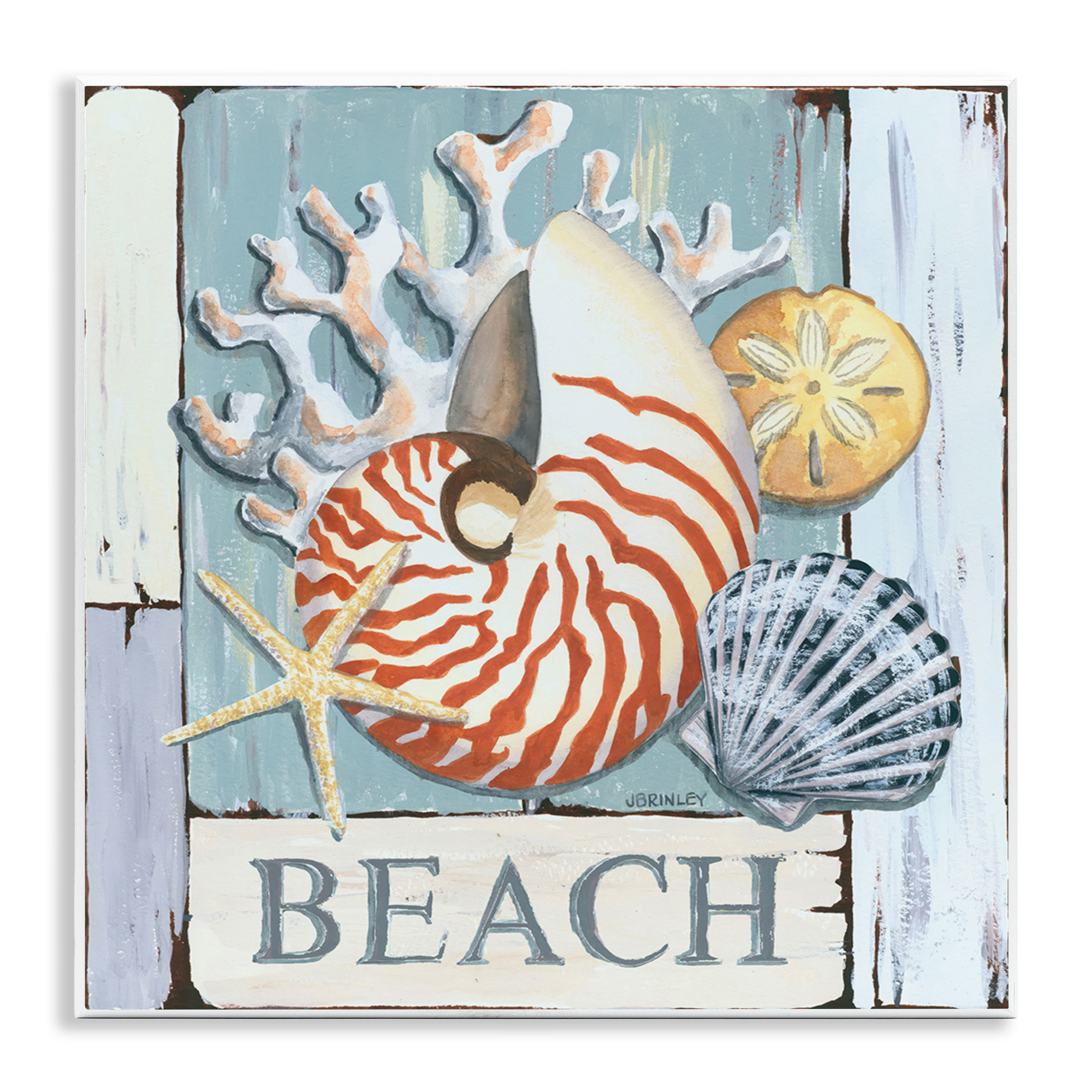Stupell Industries Distressed Beach Shells Nautical & Beach Painting Unframed Art Print Wall Art, 12 x 12