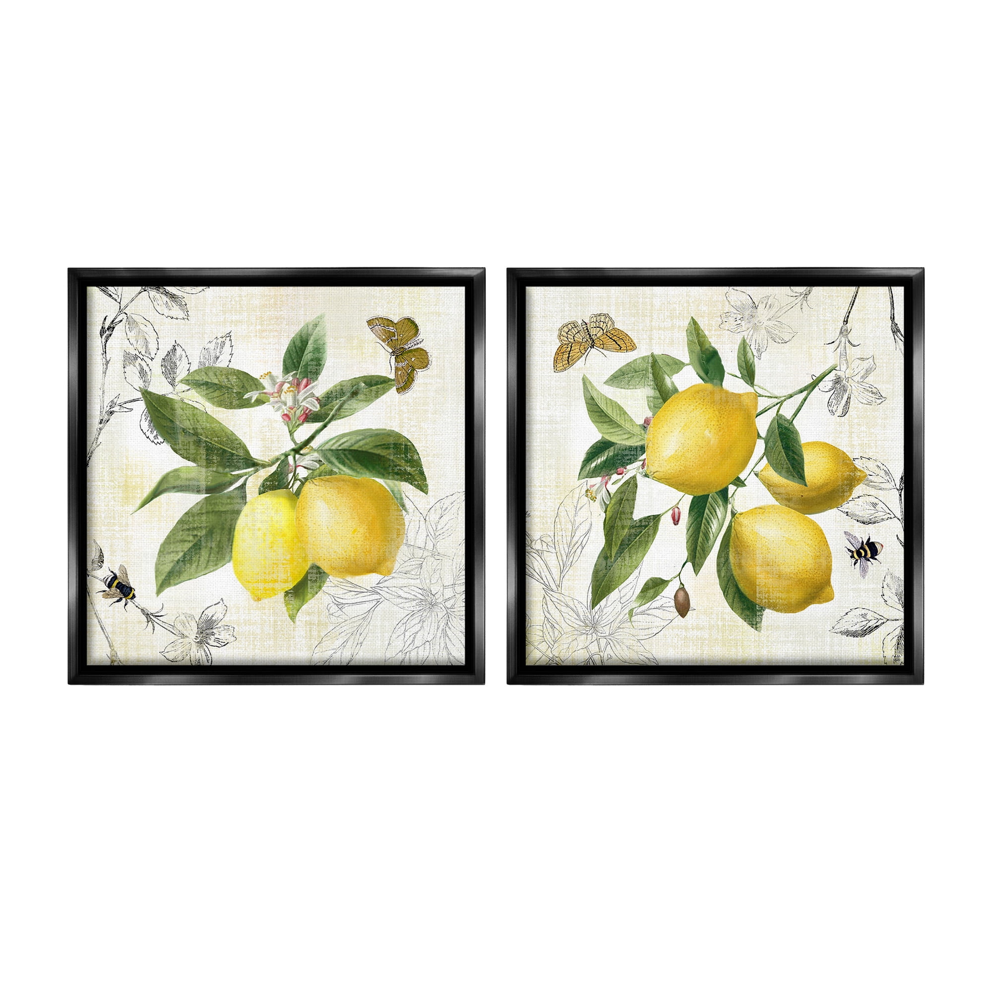 Stupell Industries Distressed Country Lemons Food & Beverage Painting Black Floater Framed Canvas Art Print Wall Art, 25 x 25, Set of 2