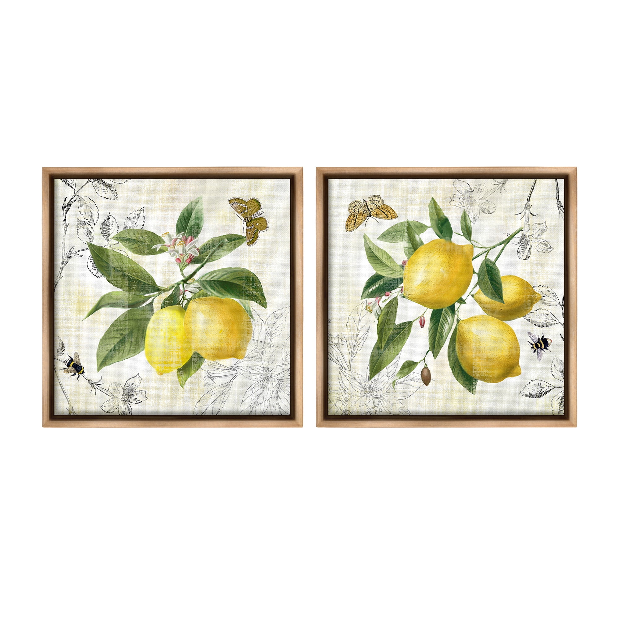 Stupell Industries Distressed Country Lemons Food & Beverage Painting Brown Floater Framed Canvas Art Print Wall Art, 25 x 25, Set of 2