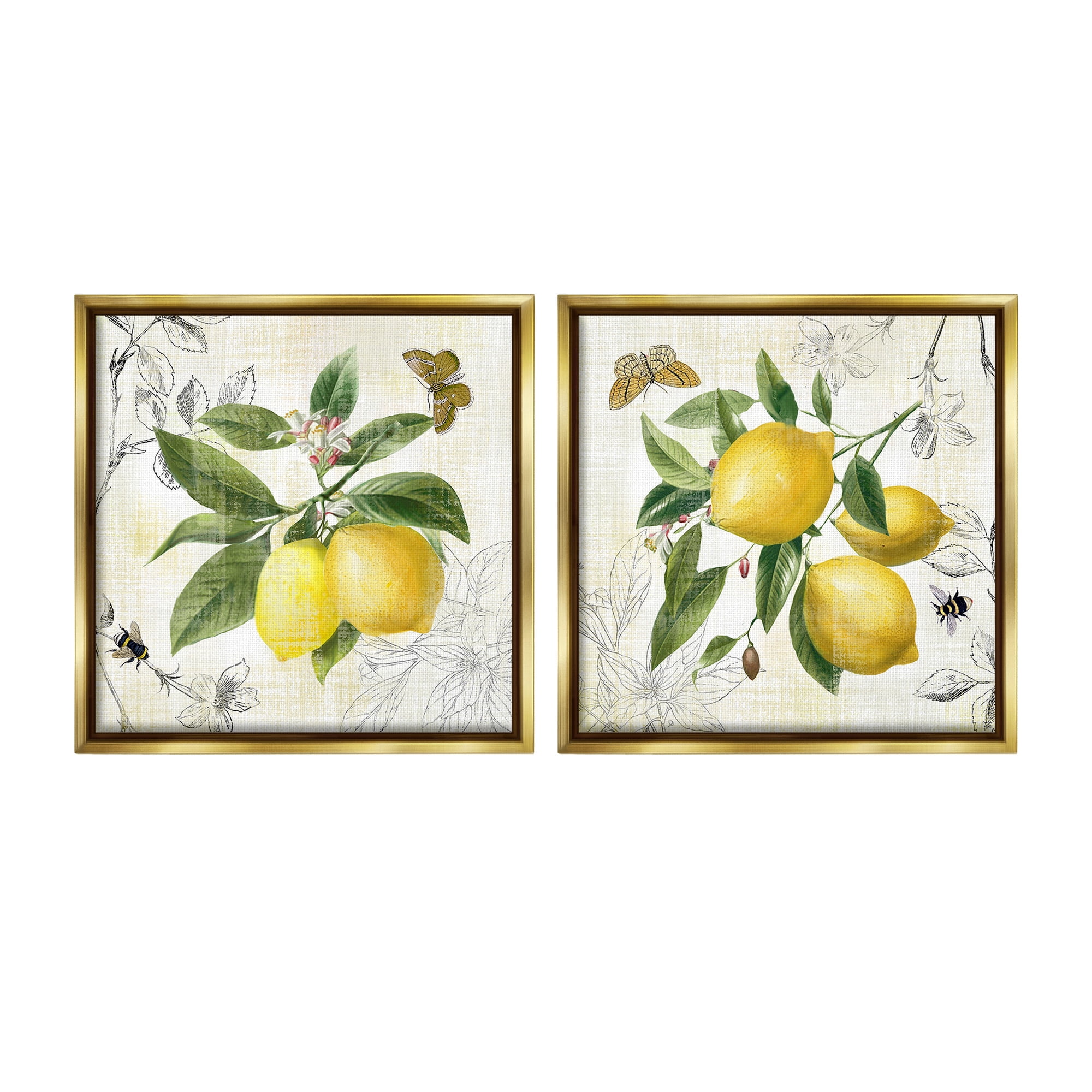 Stupell Industries Distressed Country Lemons Food & Beverage Painting Gold Floater Framed Canvas Art Print Wall Art, 18 x 18, Set of 2