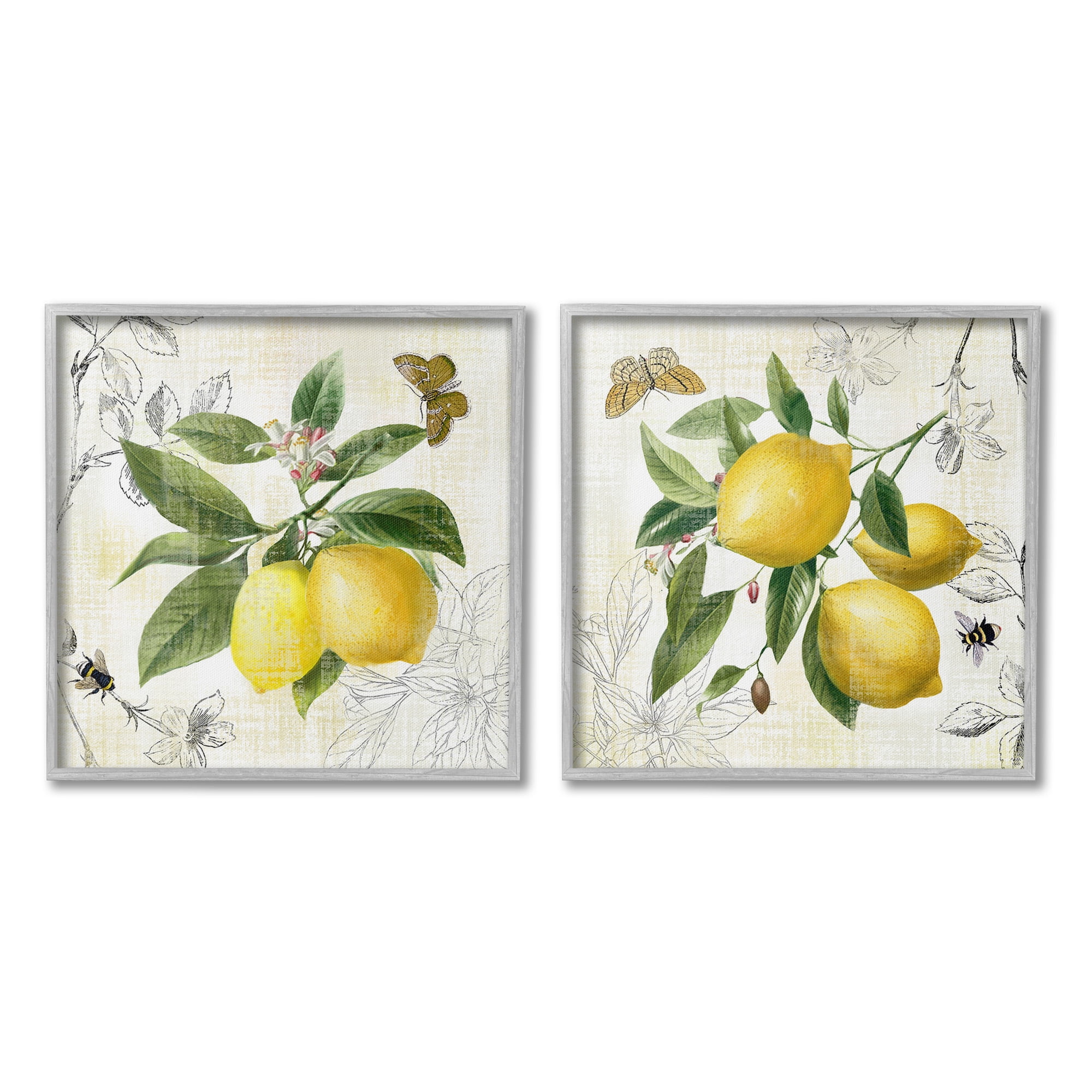 Stupell Industries Distressed Country Lemons Food & Beverage Painting Gray Framed Art Print Wall Art, 17 x 17, Set of 2