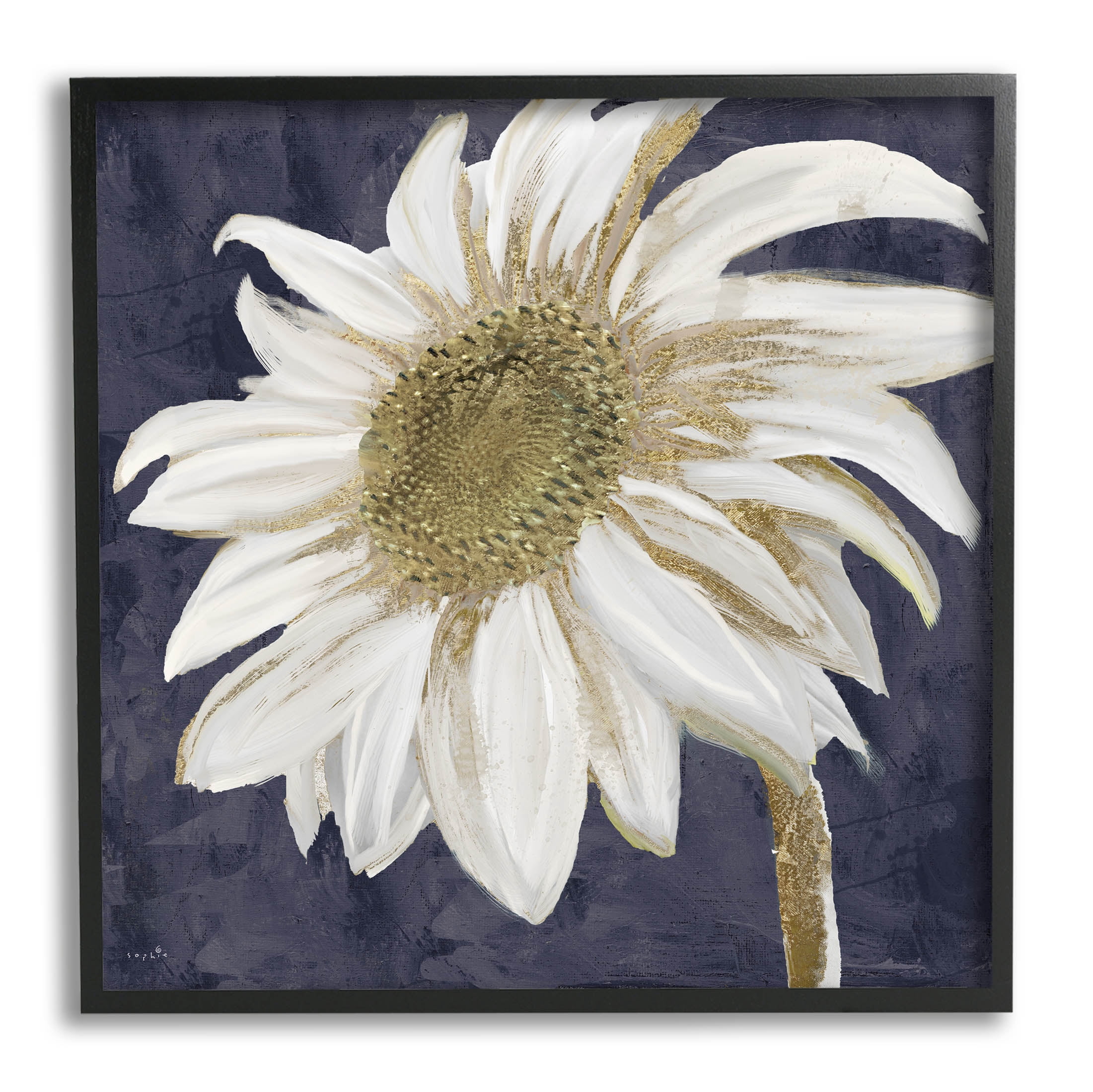 Stupell Industries Distressed Daisy Petals Graphic Art Black Framed Art Print Wall Art, Design by Sophie 6