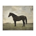 thumbnail image 1 of Stupell Industries Rustic Lodge Distressed Horse Portrait Canvas Art, 30 x 24, by Petals Prints Design, 1 of 8