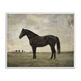 thumbnail image 1 of Stupell Industries Rustic Lodge Distressed Horse Portrait White Framed Giclee Art, 14 x 11, by Petals Prints Design, 1 of 8