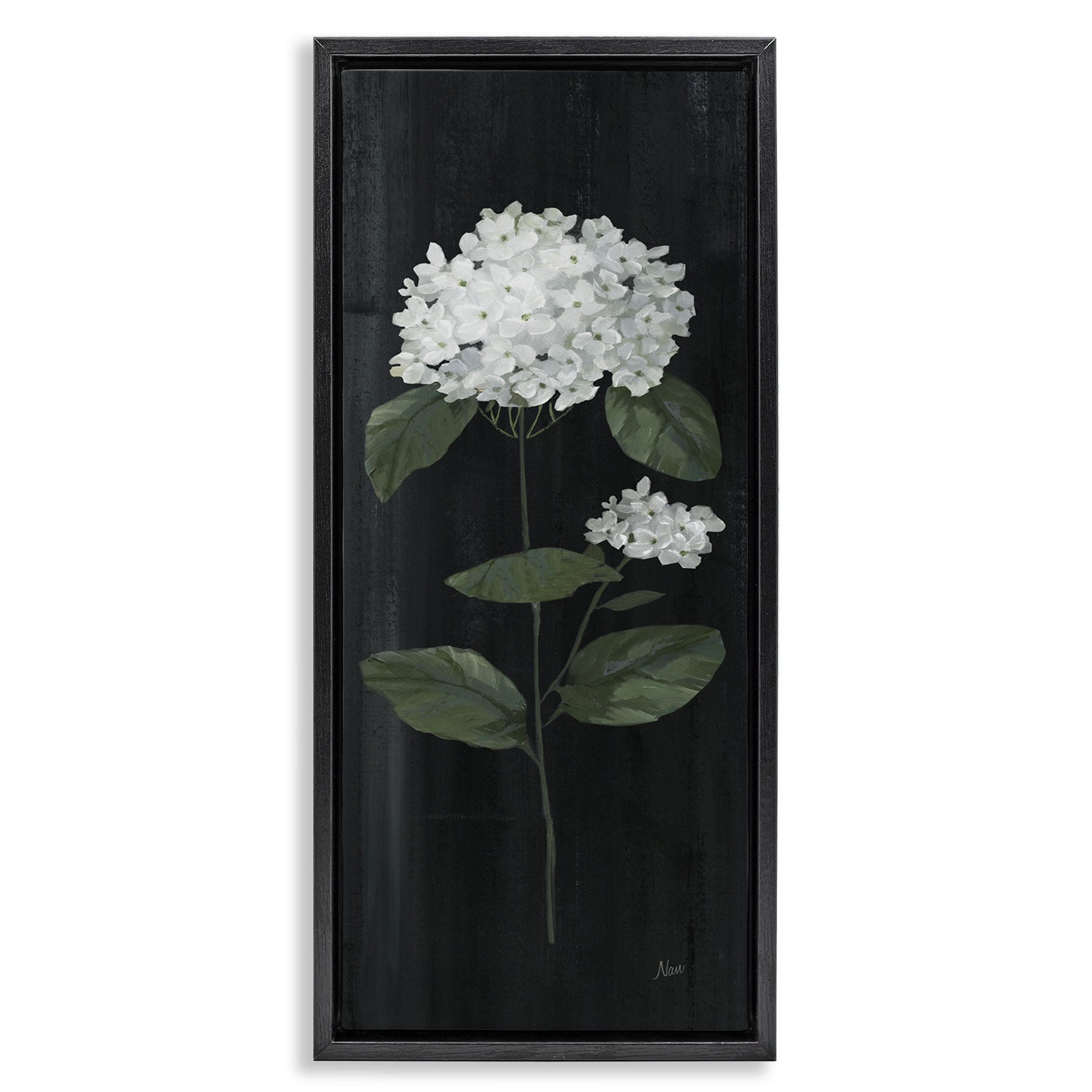 Stupell Industries Distressed Hydrangea Flower Blossom Botanical & Floral Painting Black Floater Framed Canvas Art Print Wall Art, 11 x 25