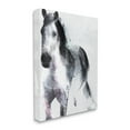 thumbnail image 1 of Stupell Industries Distressed Patch Line Wild Horse Portrait Black Pink, 16 x 20, Designed by Jennifer Ellory, 1 of 6