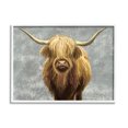 thumbnail image 1 of Stupell Industries Distressed Patterned Highland Cattle Graphic Art White Framed Art Print Wall Art, Design by Ziwei Li, 1 of 7