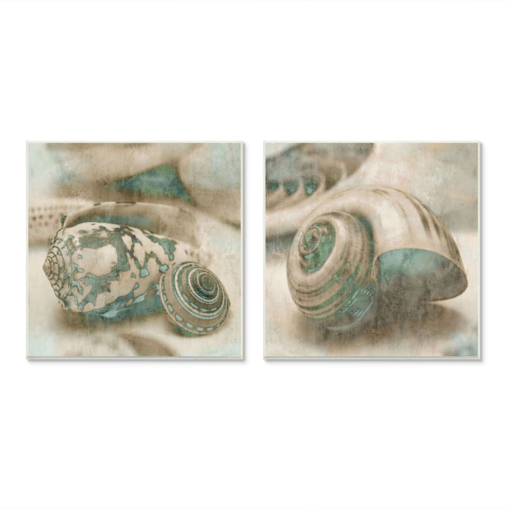 Stupell Industries Distressed Sepia Shells with Turquoise Pattern Design by John Seba