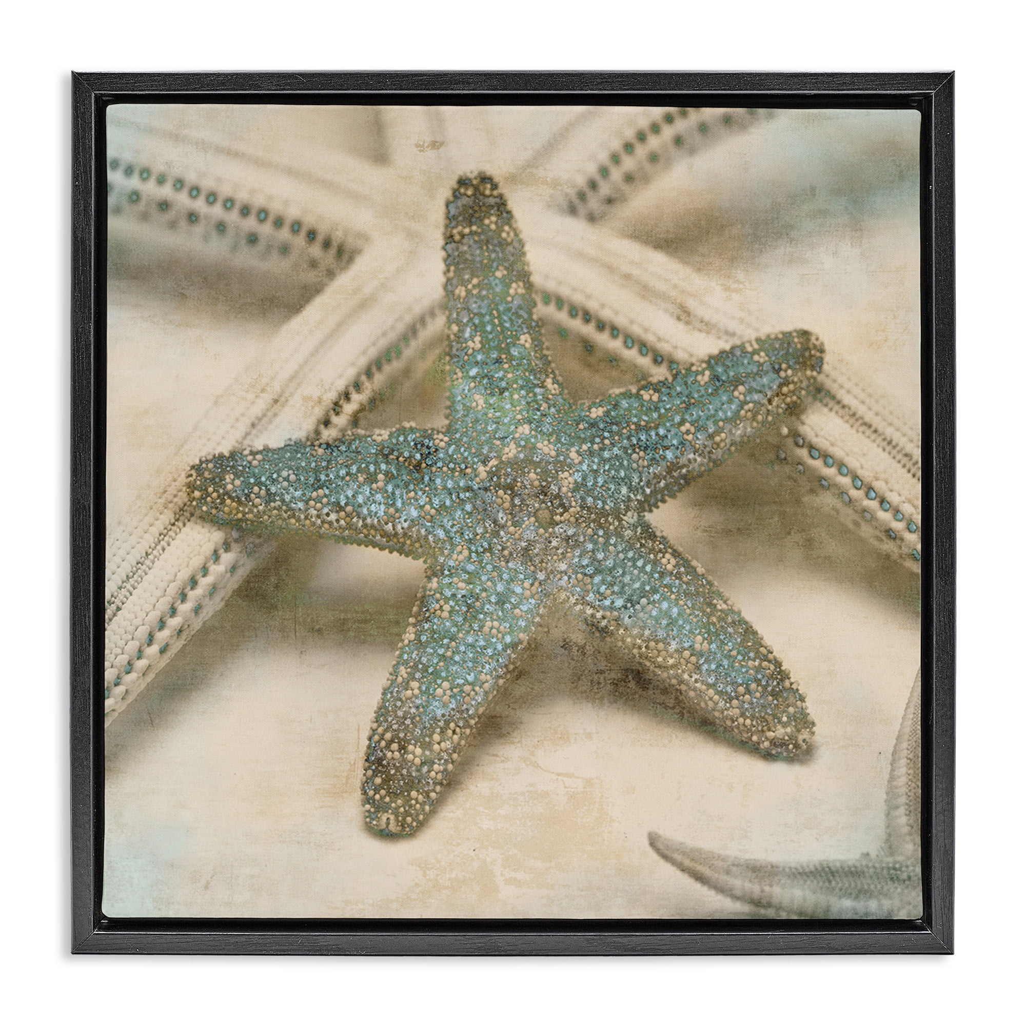Stupell Industries Distressed Texture Starfish Nature Photography Black Floater Framed Canvas Art Print Wall Art, 25 x 25