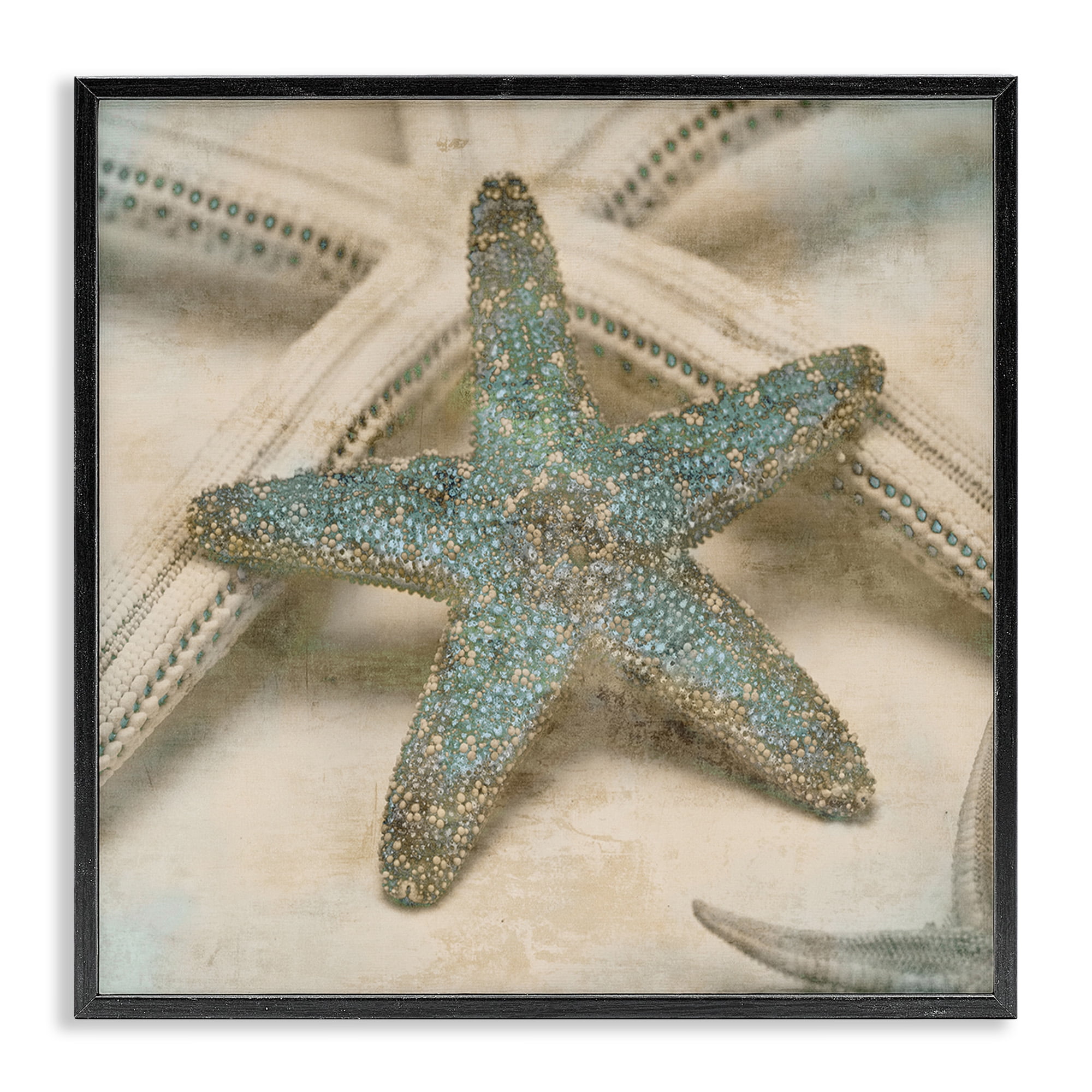 Stupell Industries Distressed Texture Starfish Nature Photography Black Framed Art Print Wall Art, 17 x 17