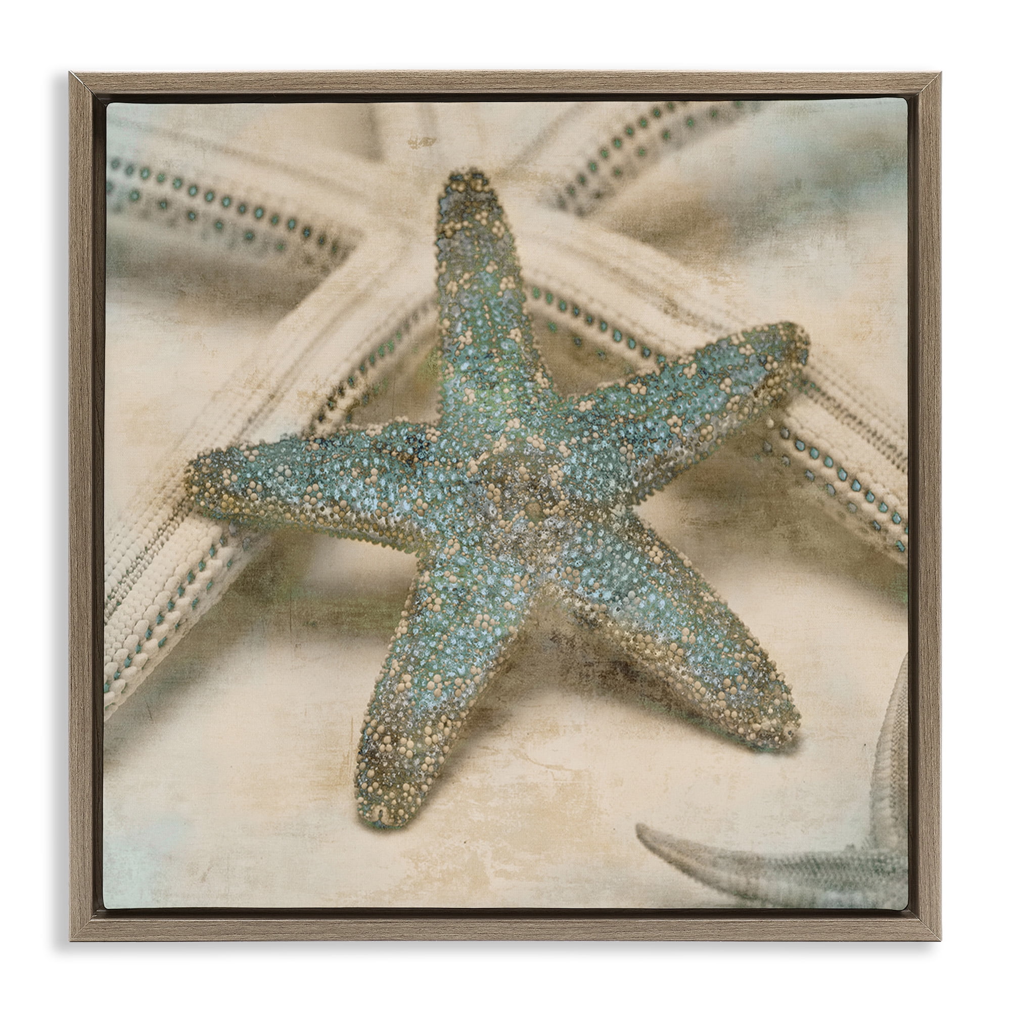 Stupell Industries Distressed Texture Starfish Nature Photography Brown Floater Framed Canvas Art Print Wall Art, 18 x 18