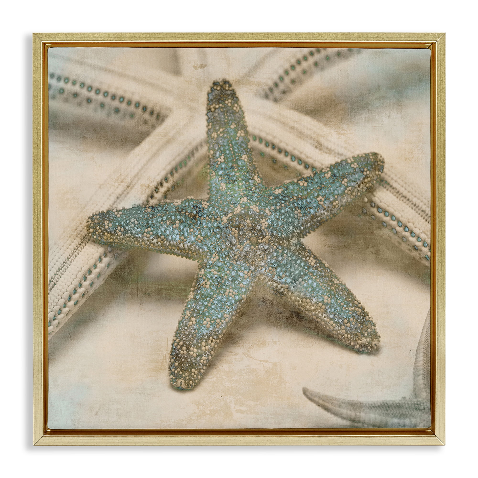 Stupell Industries Distressed Texture Starfish Nature Photography Gold Floater Framed Canvas Art Print Wall Art, 18 x 18