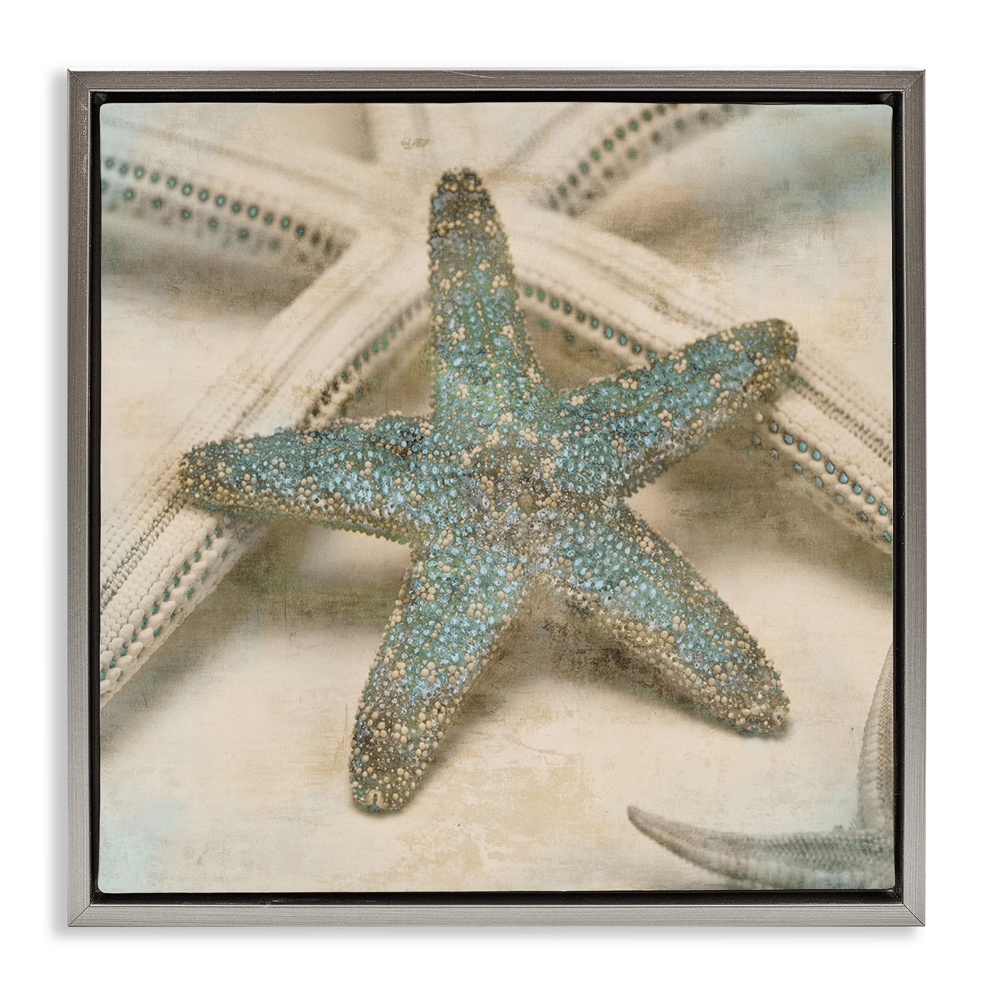 Stupell Industries Distressed Texture Starfish Nature Photography Gray Floater Framed Canvas Art Print Wall Art, 18 x 18