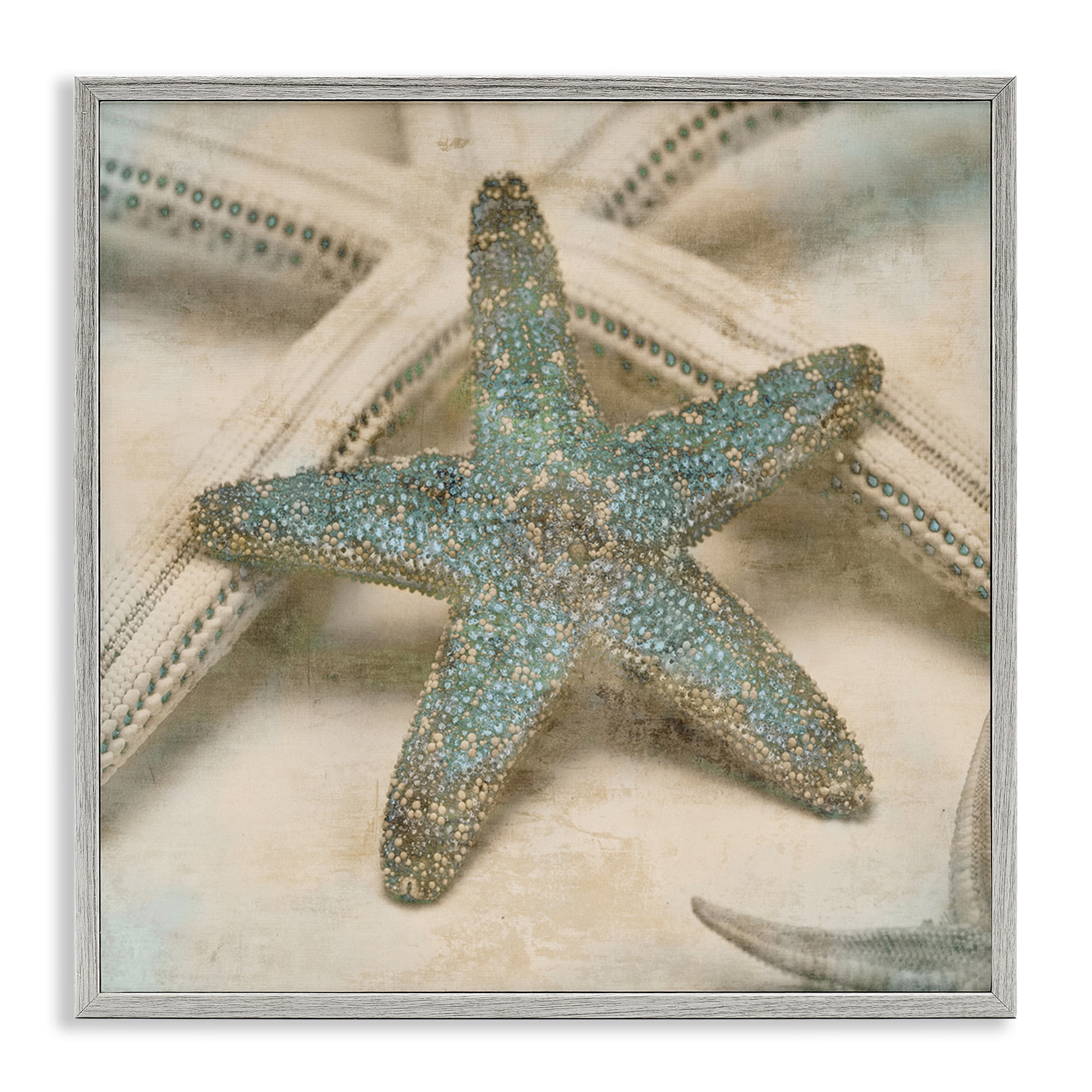Stupell Industries Distressed Texture Starfish Nature Photography Gray Framed Art Print Wall Art, 17 x 17