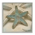 Stupell Industries Distressed Texture Starfish Nature Photography Gray