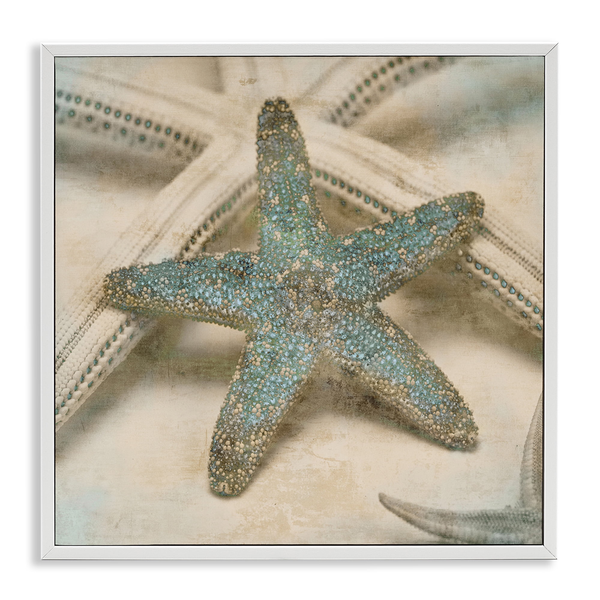 Stupell Industries Distressed Texture Starfish Nature Photography White Framed Art Print Wall Art, 12 x 12
