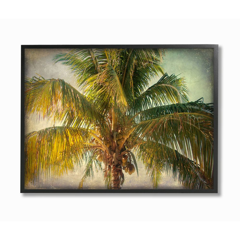 Stupell Industries Distressed Tropical Summer Palm Tree Frond Photograph Designed by Ashley Calhoun