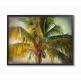 thumbnail image 1 of Stupell Industries Distressed Tropical Summer Palm Tree Frond Photograph Designed by Ashley Calhoun, 1 of 8