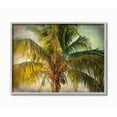 thumbnail image 1 of Stupell Industries Distressed Tropical Summer Palm Tree Frond Photograph Designed by Ashley Calhoun, 1 of 8