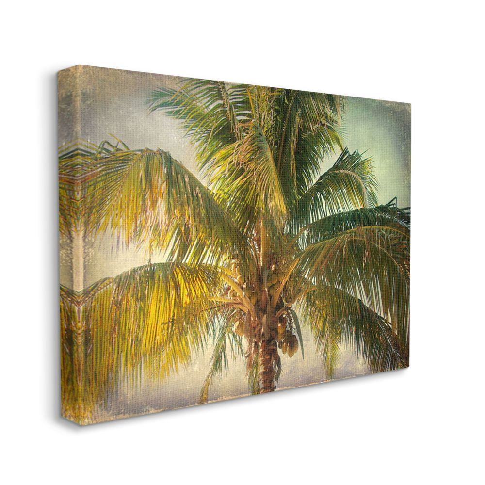 Stupell Industries Distressed Tropical Summer Palm Tree Frond Photograph Designed by Ashley Calhoun