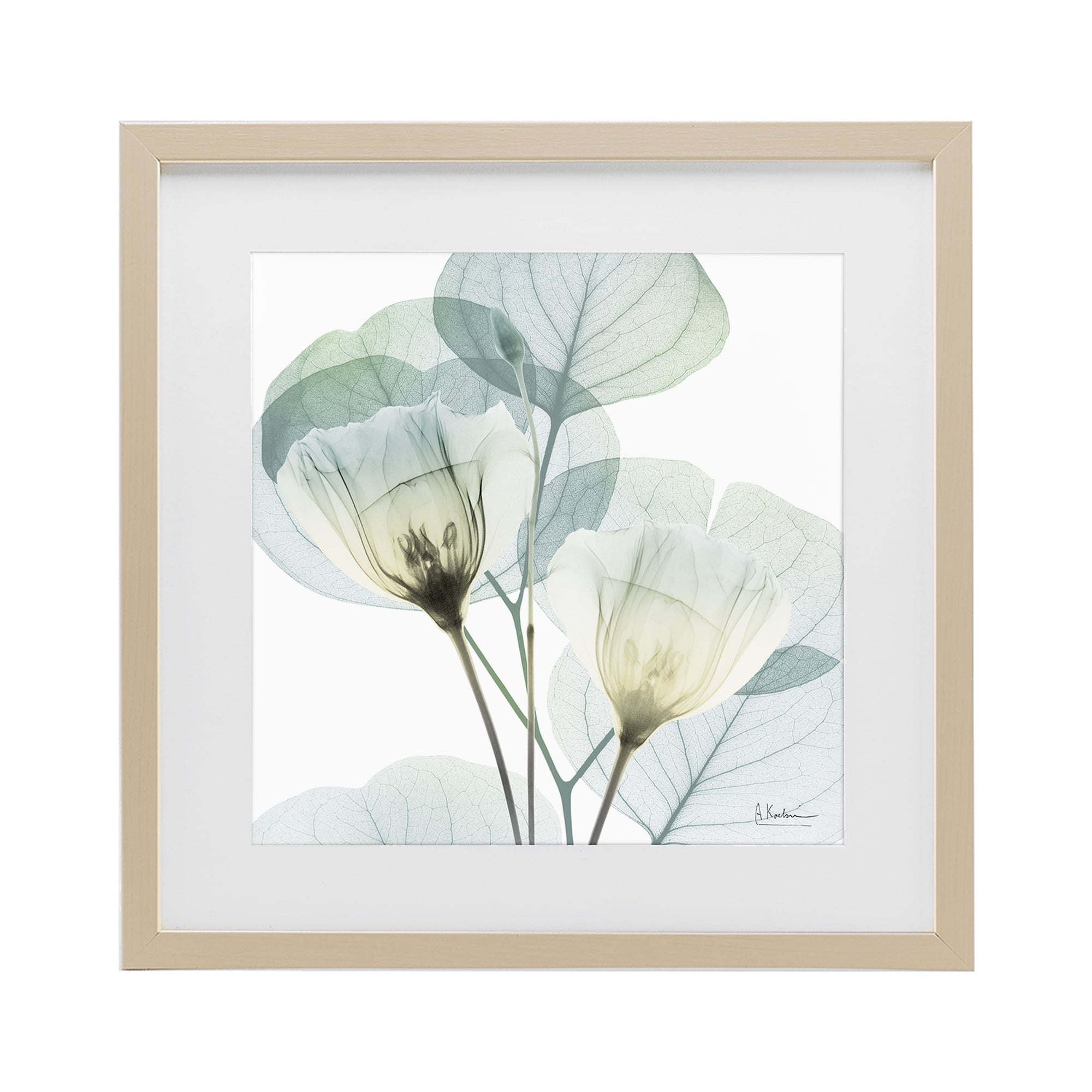 Stupell Industries Divine Fate Flower Leaves Birch Framed Print Under Glass, design by Albert Koetsier