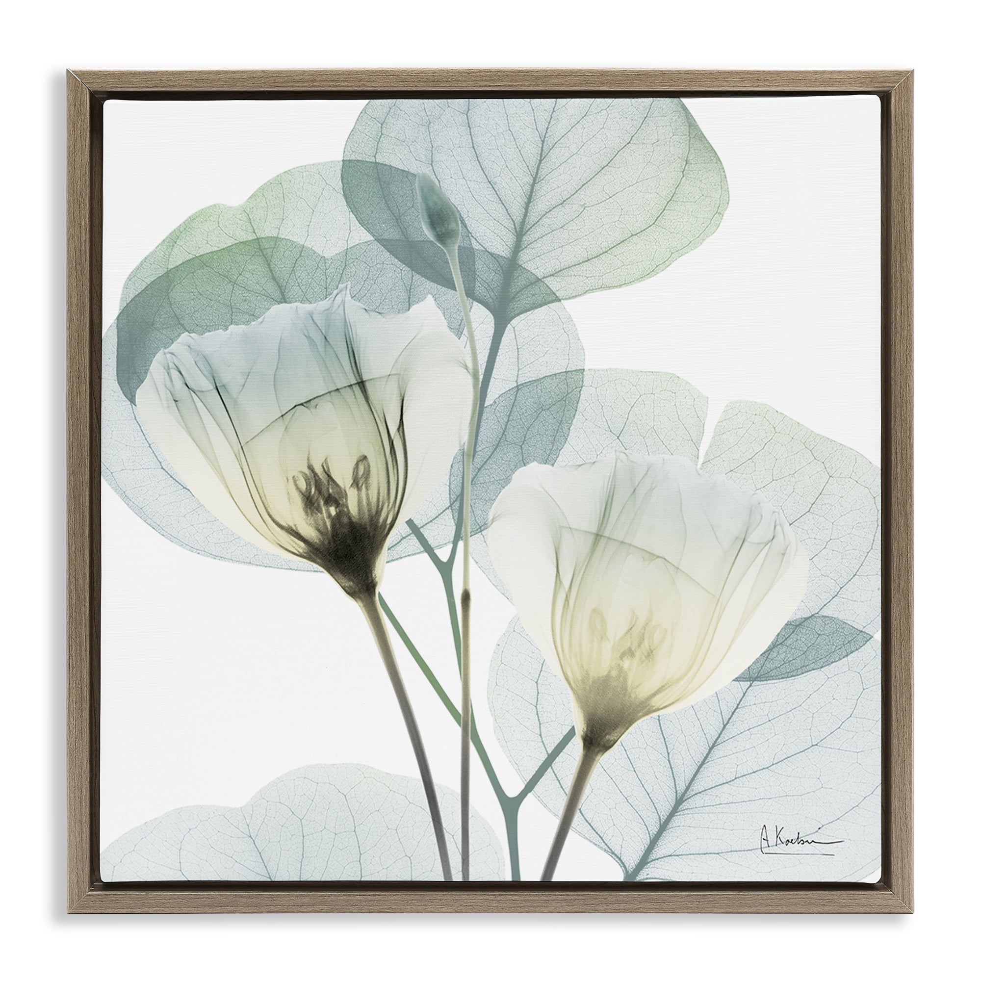 Stupell Industries Divine Fate Flower Leaves Brown Framed Floater Canvas Wall Art, design by Albert Koetsier