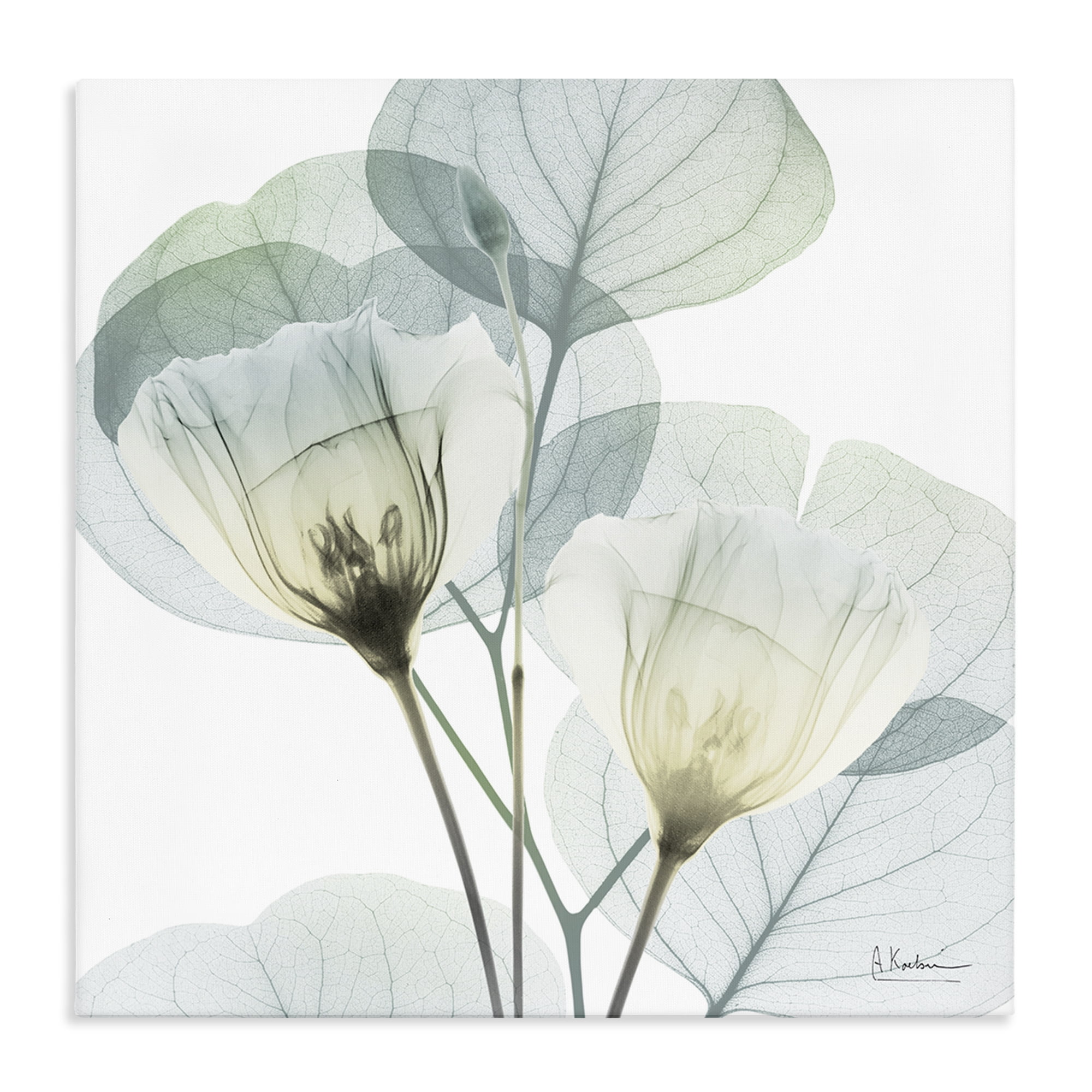 Stupell Industries Divine Fate Flower Leaves Canvas Wall Art, design by Albert Koetsier