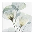 thumbnail image 1 of Stupell Industries Traditional Divine Fate Flower Leaves Canvas Art, 17 x 17, by Albert Koetsier, 1 of 8