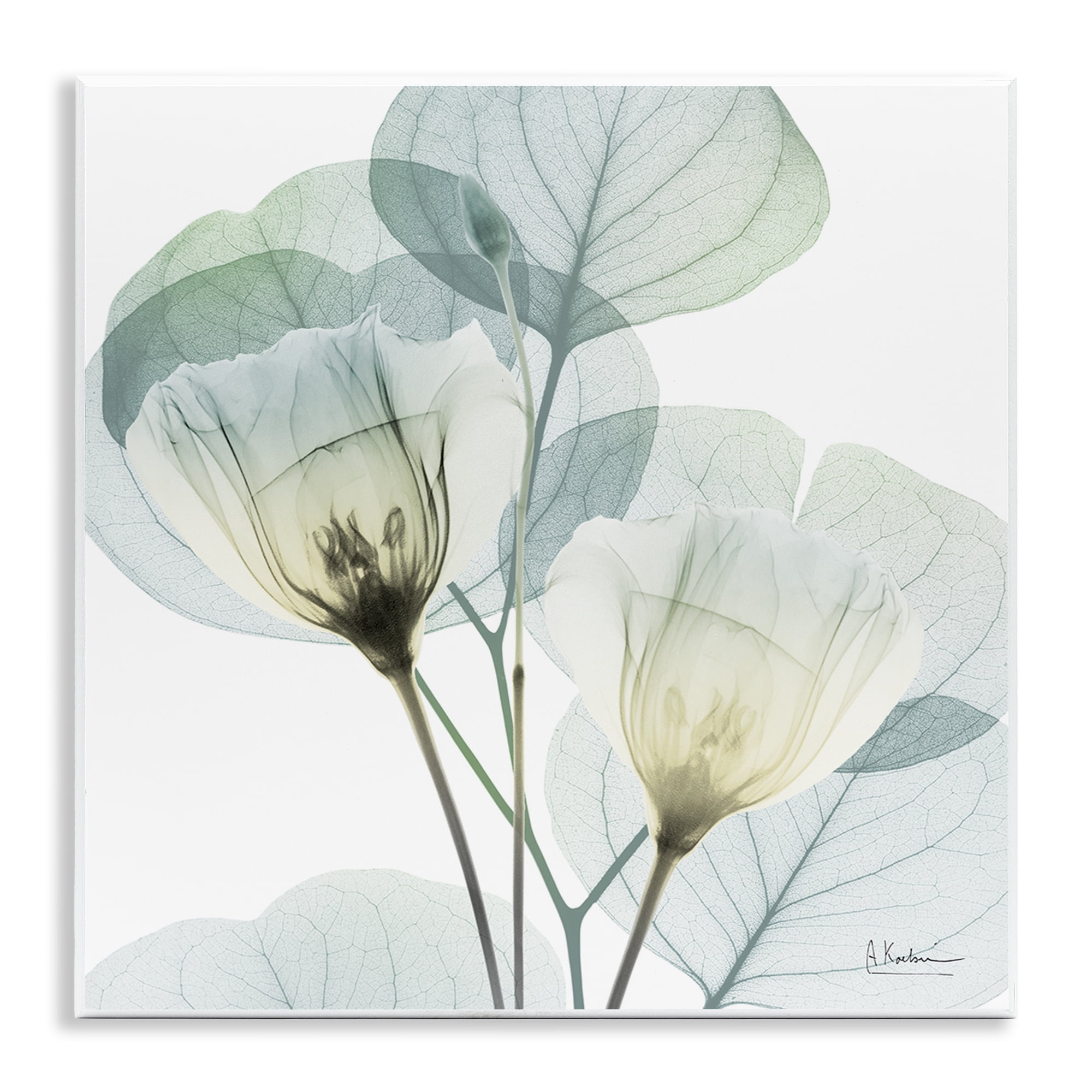 Stupell Industries Divine Fate Flower Leaves Wall Plaque Art, design by Albert Koetsier