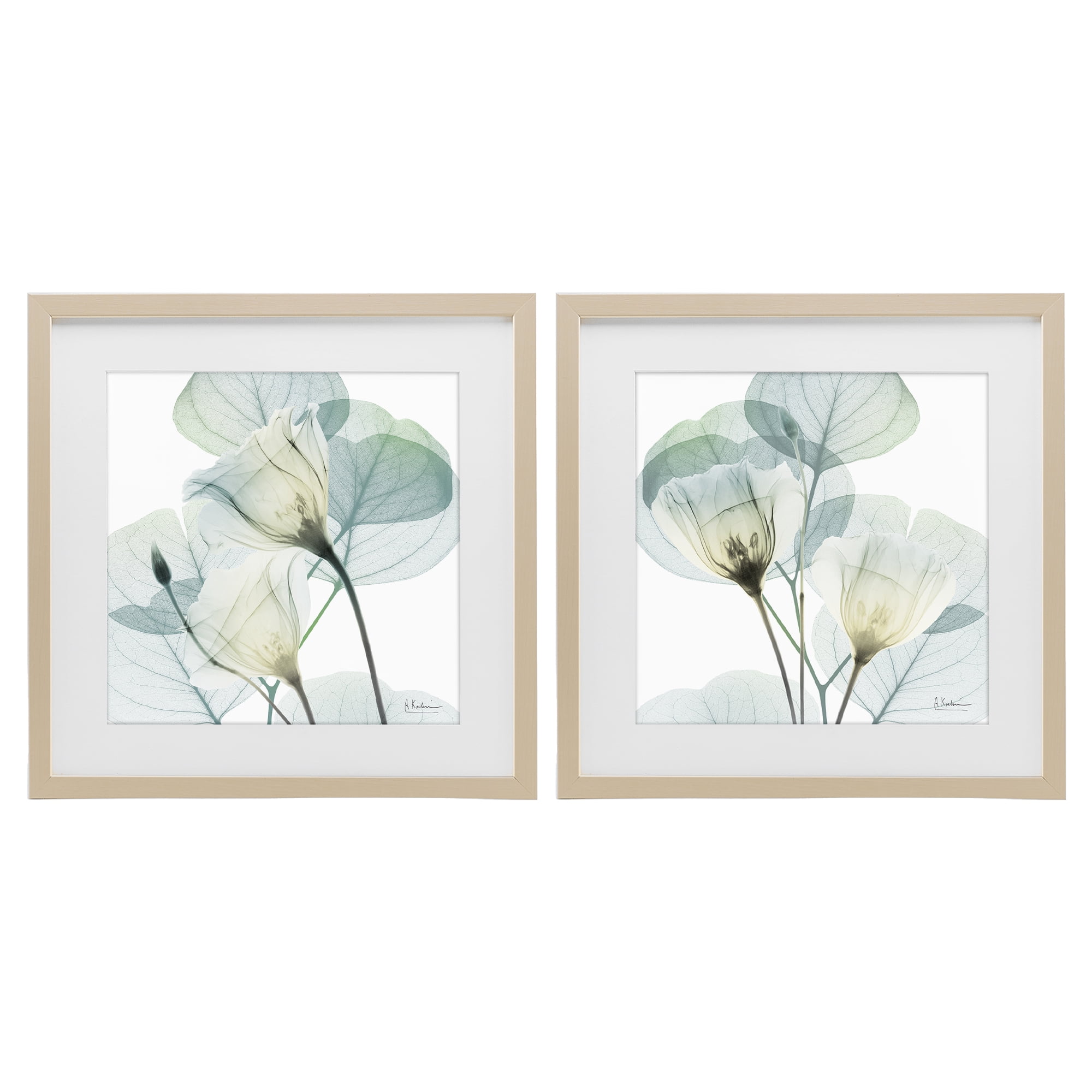 Stupell Industries Divine Fate Flowers 2 Piece Birch Framed Print Under Glass Set, design by Albert Koetsier