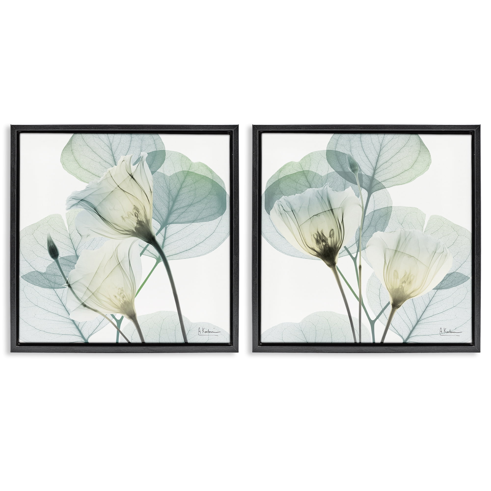 Stupell Industries Divine Fate Flowers 2 Piece Black Framed Floater Canvas Set, design by Albert Koetsier