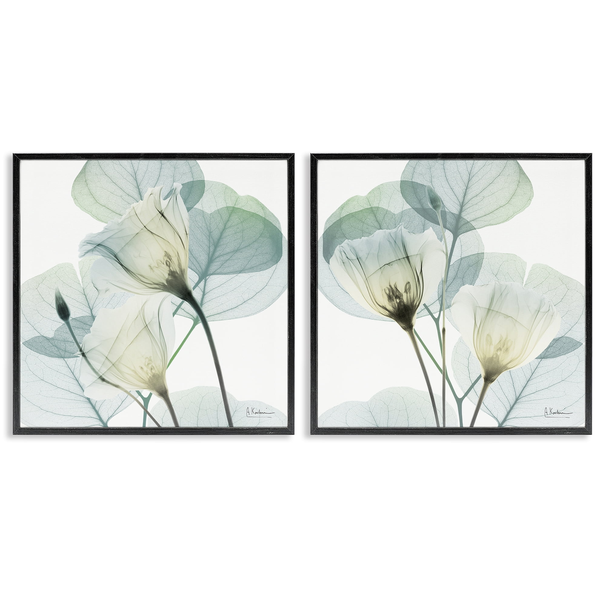 Stupell Industries Divine Fate Flowers 2 Piece Black Framed Giclee Art Set, design by Albert Koetsier