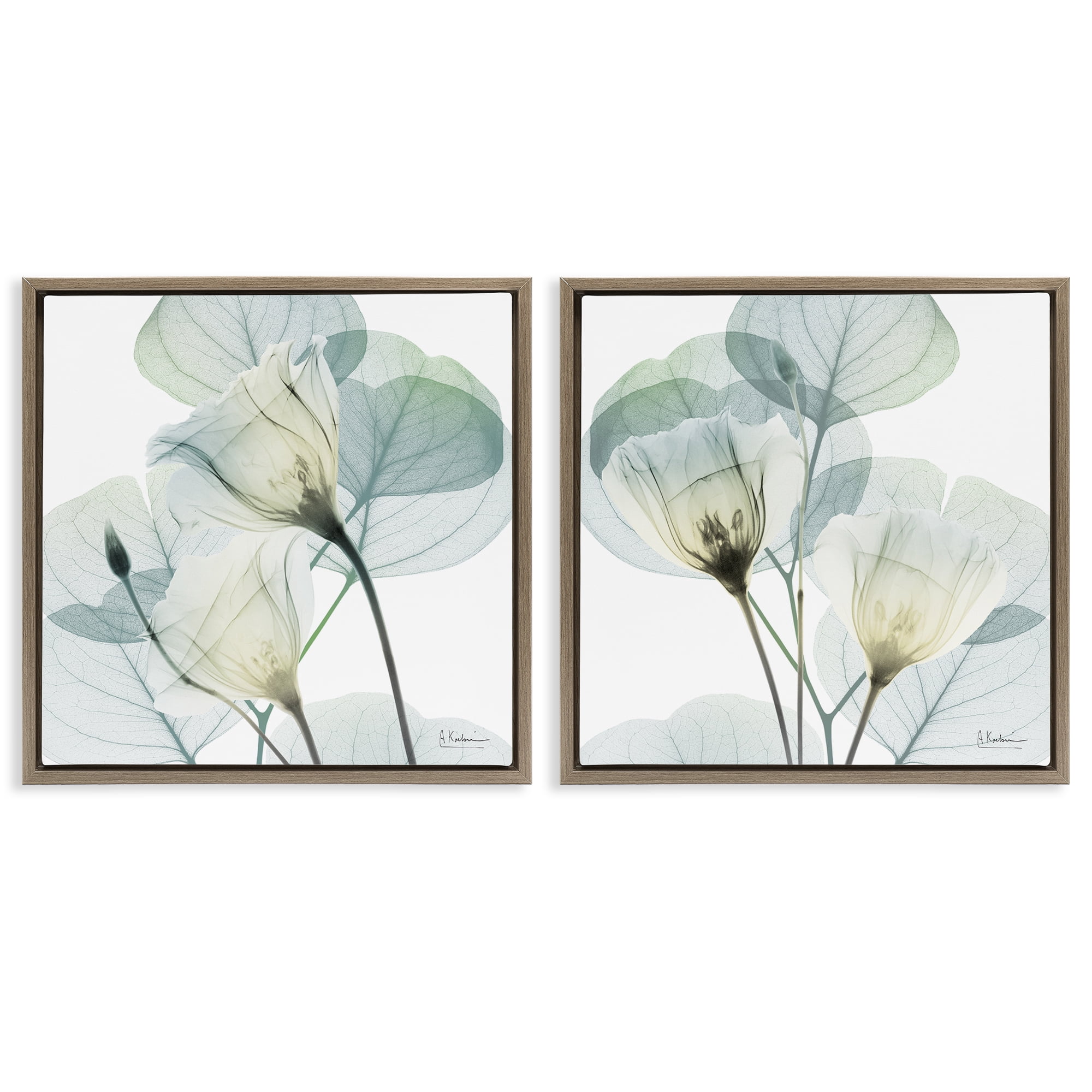Stupell Industries Divine Fate Flowers 2 Piece Brown Framed Floater Canvas Set, design by Albert Koetsier