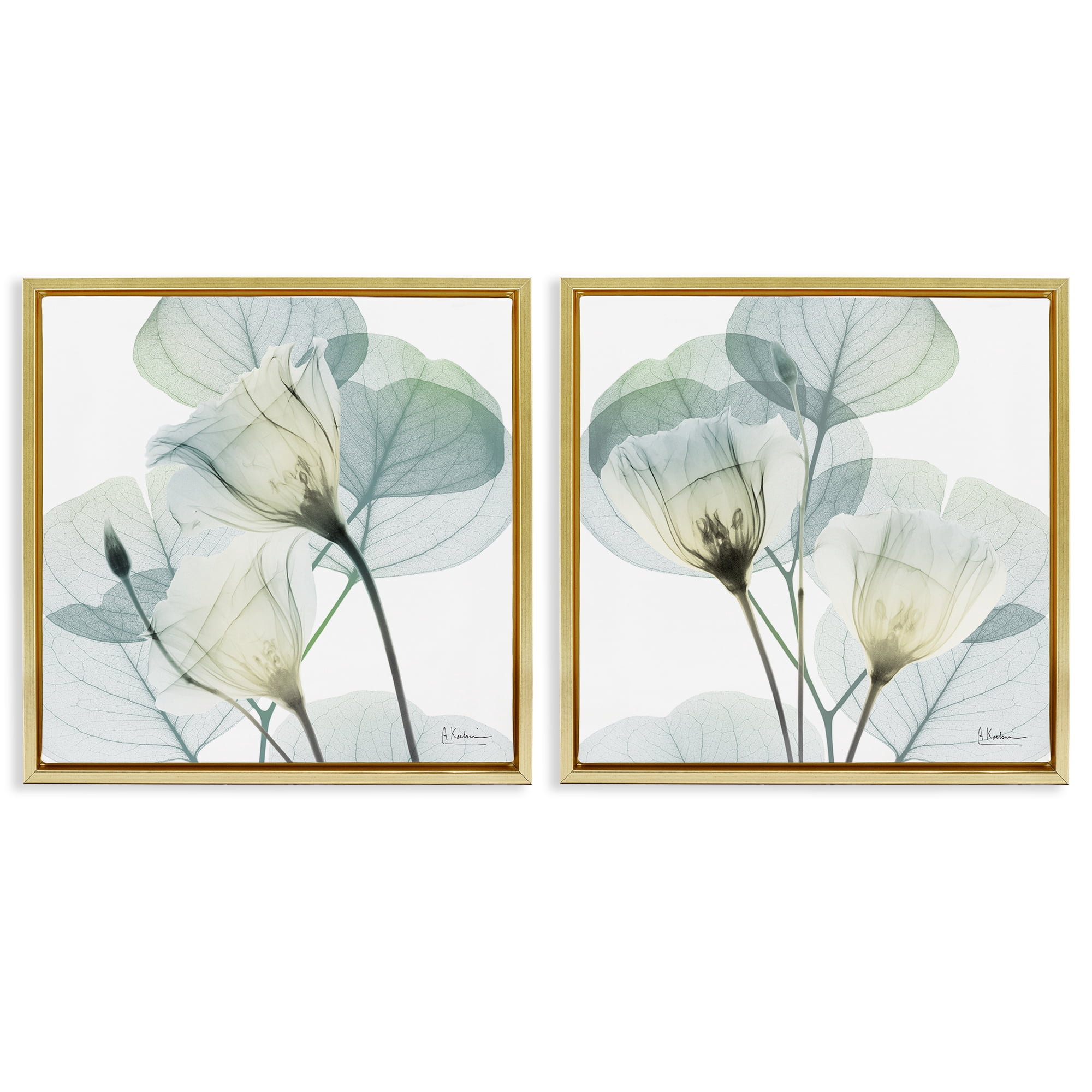 Stupell Industries Divine Fate Flowers 2 Piece Gold Framed Floater Canvas Set, design by Albert Koetsier