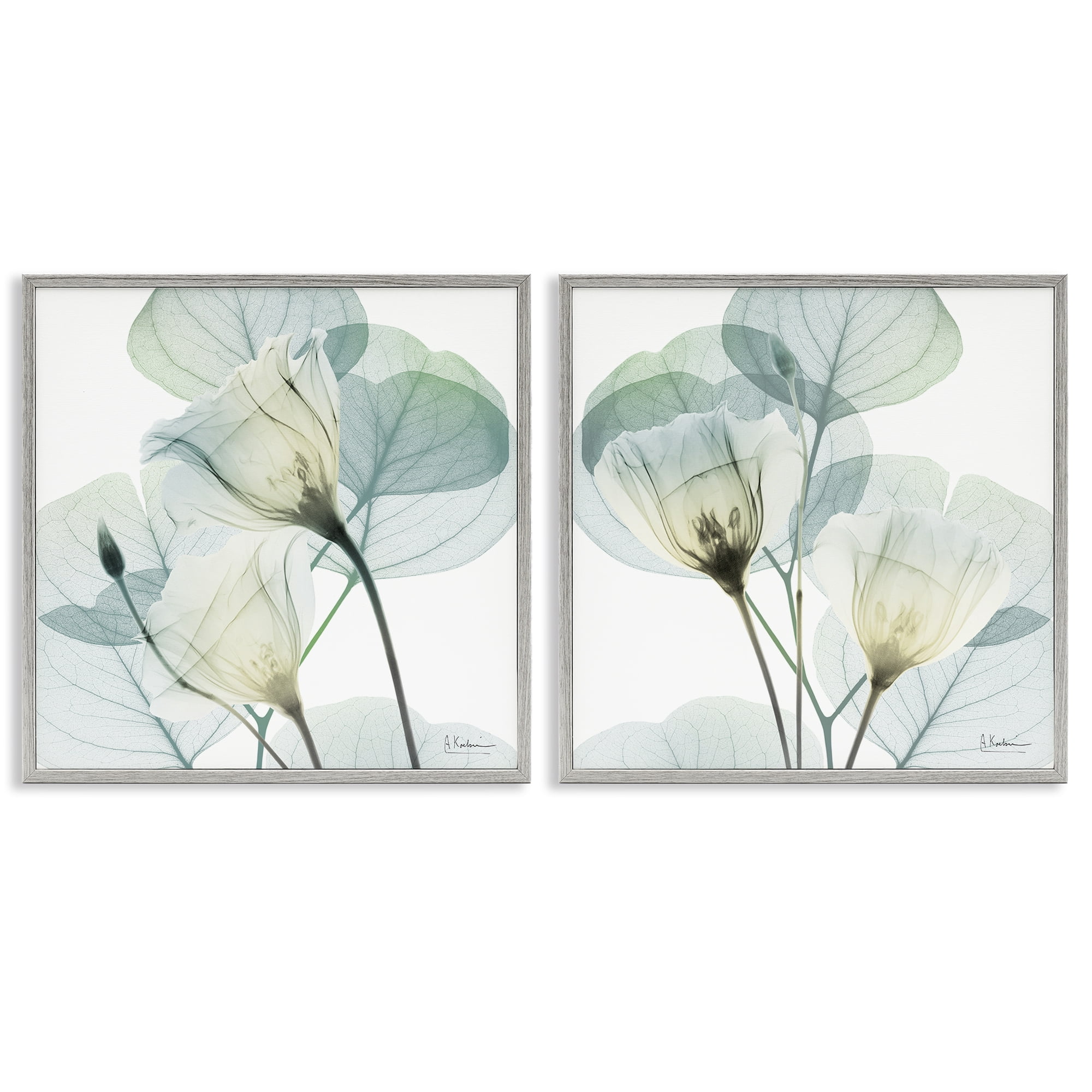 Stupell Industries Divine Fate Flowers 2 Piece Gray Framed Giclee Art Set, design by Albert Koetsier