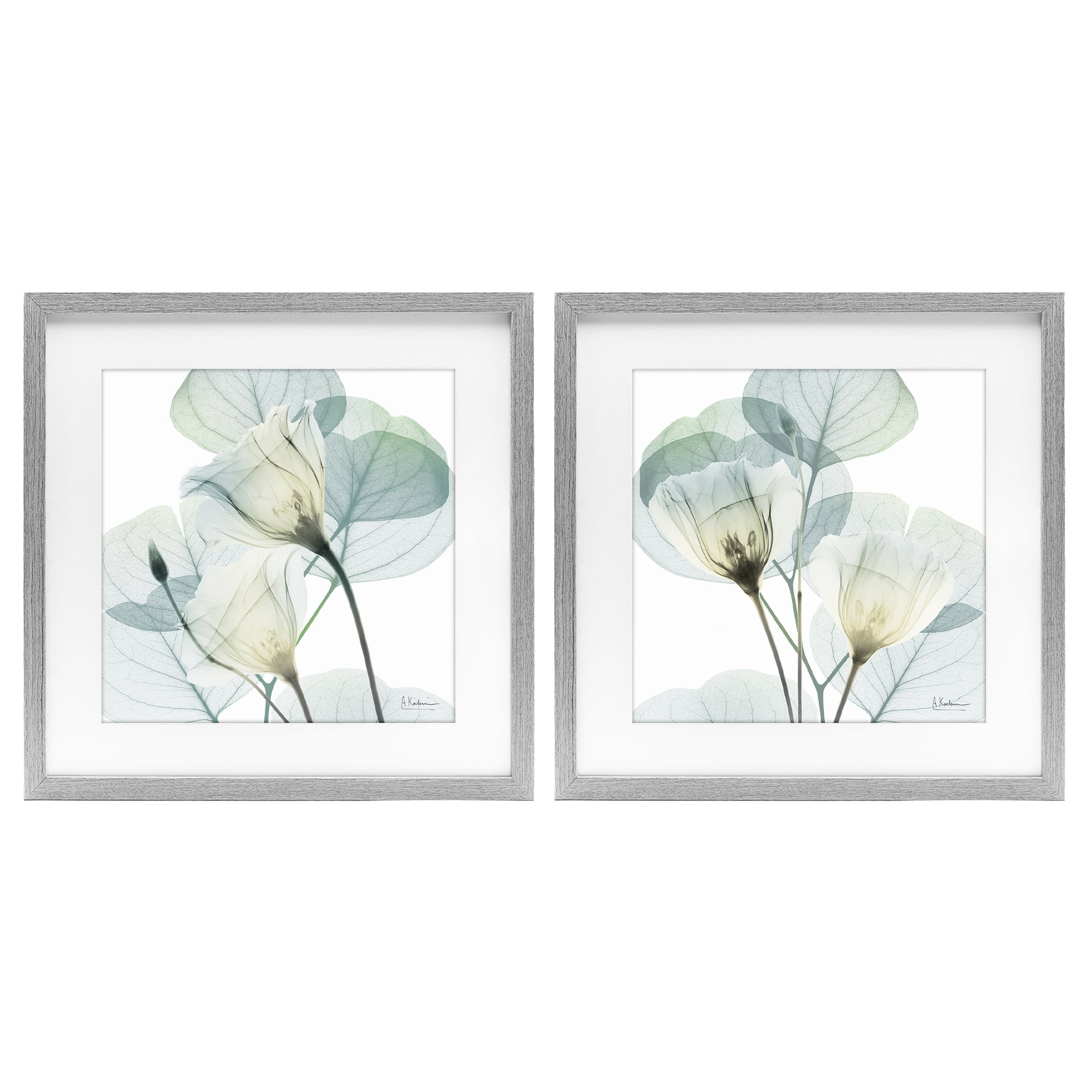Stupell Industries Divine Fate Flowers 2 Piece Gray Framed Print Under Glass Set, design by Albert Koetsier