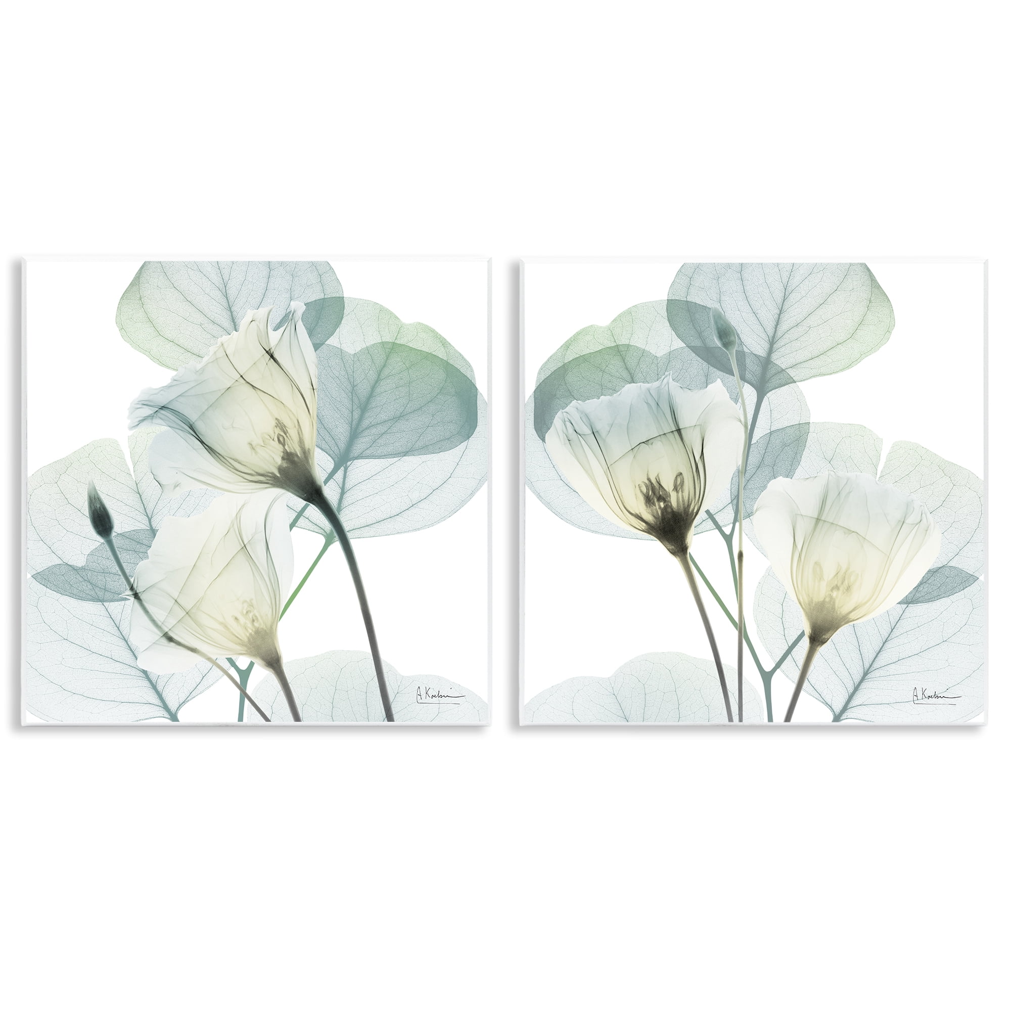 Stupell Industries Divine Fate Flowers 2 Piece Wall Plaque Art Set, design by Albert Koetsier