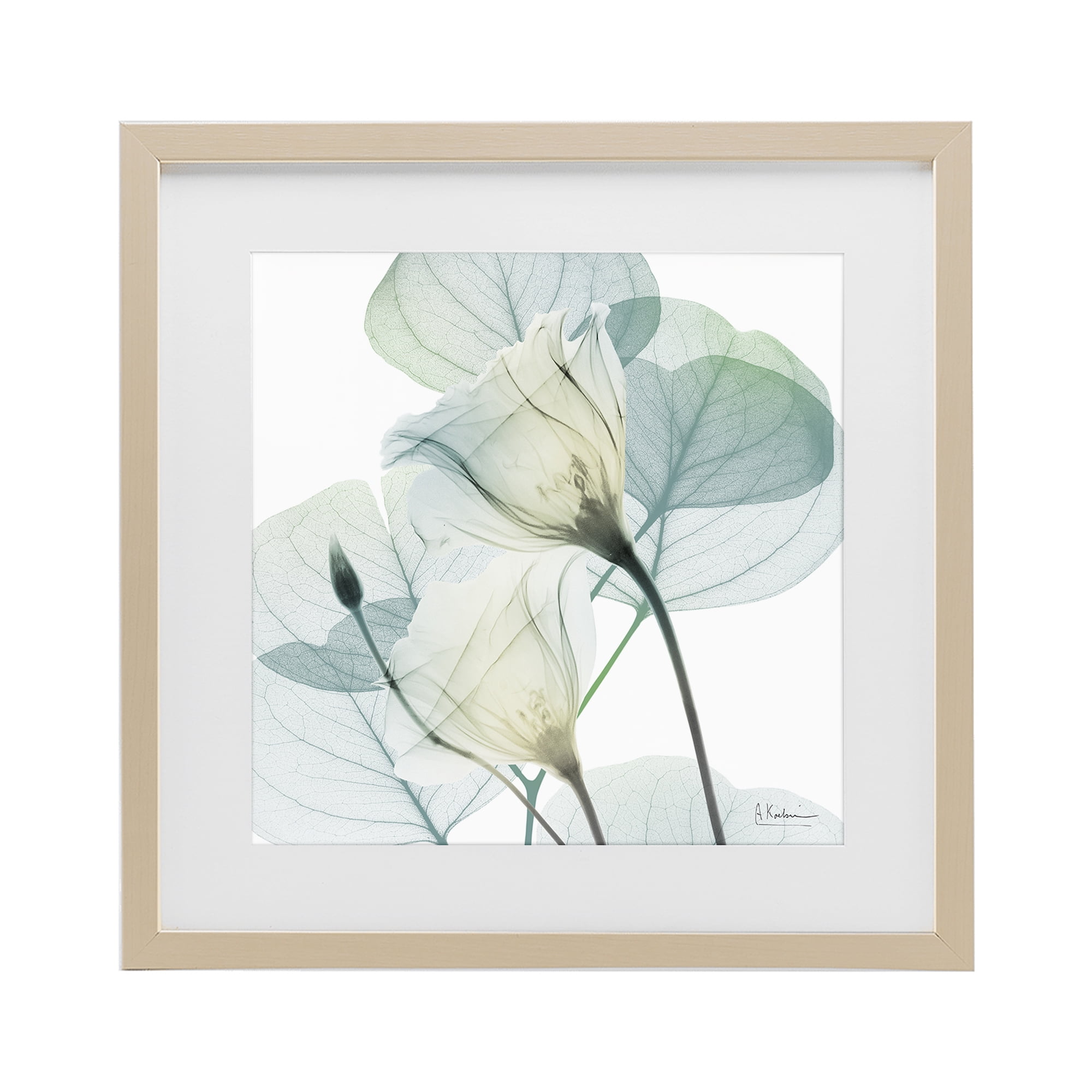 Stupell Industries Divine Fate Petals Birch Framed Print Under Glass, design by Albert Koetsier