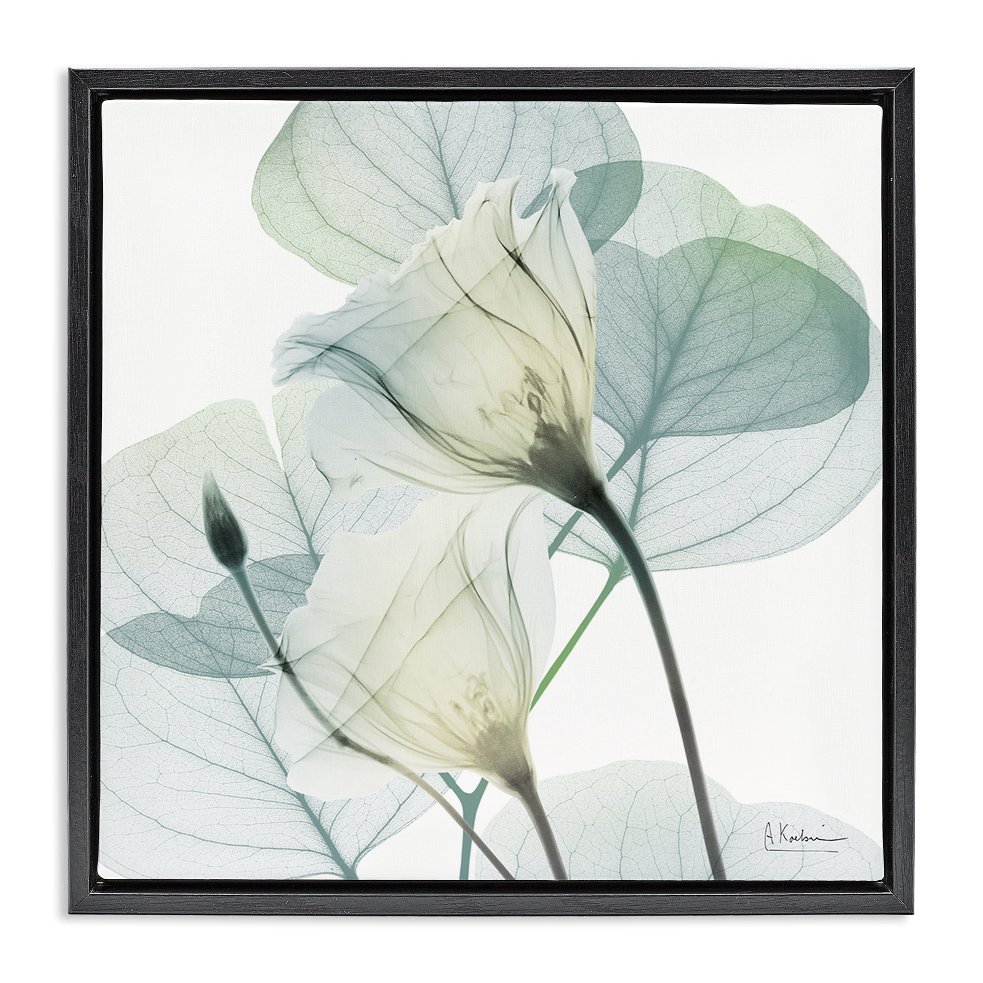 Stupell Industries Divine Fate Petals Black Framed Floater Canvas Wall Art, design by Albert Koetsier