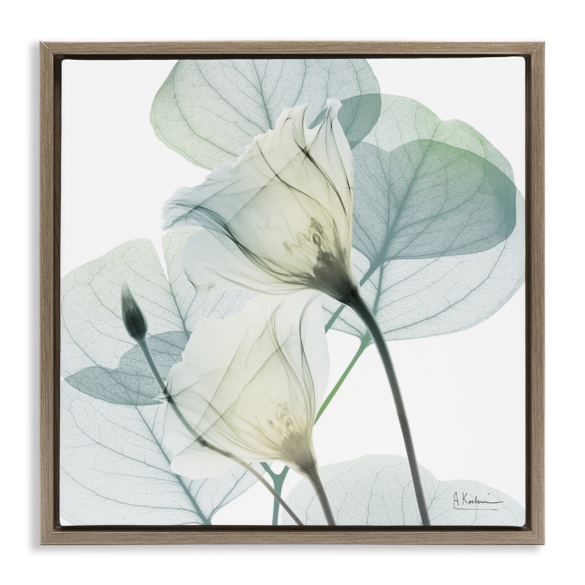 Stupell Industries Divine Fate Petals Brown Framed Floater Canvas Wall Art, design by Albert Koetsier