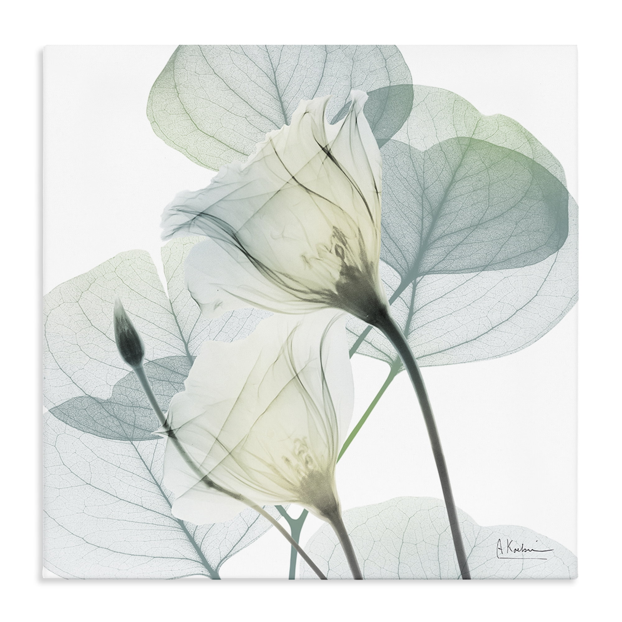 Stupell Industries Divine Fate Petals Canvas Wall Art, design by Albert Koetsier
