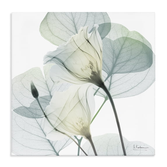 Stupell Industries Traditional Divine Fate Petals Canvas Art, 17 x 17, by Albert Koetsier