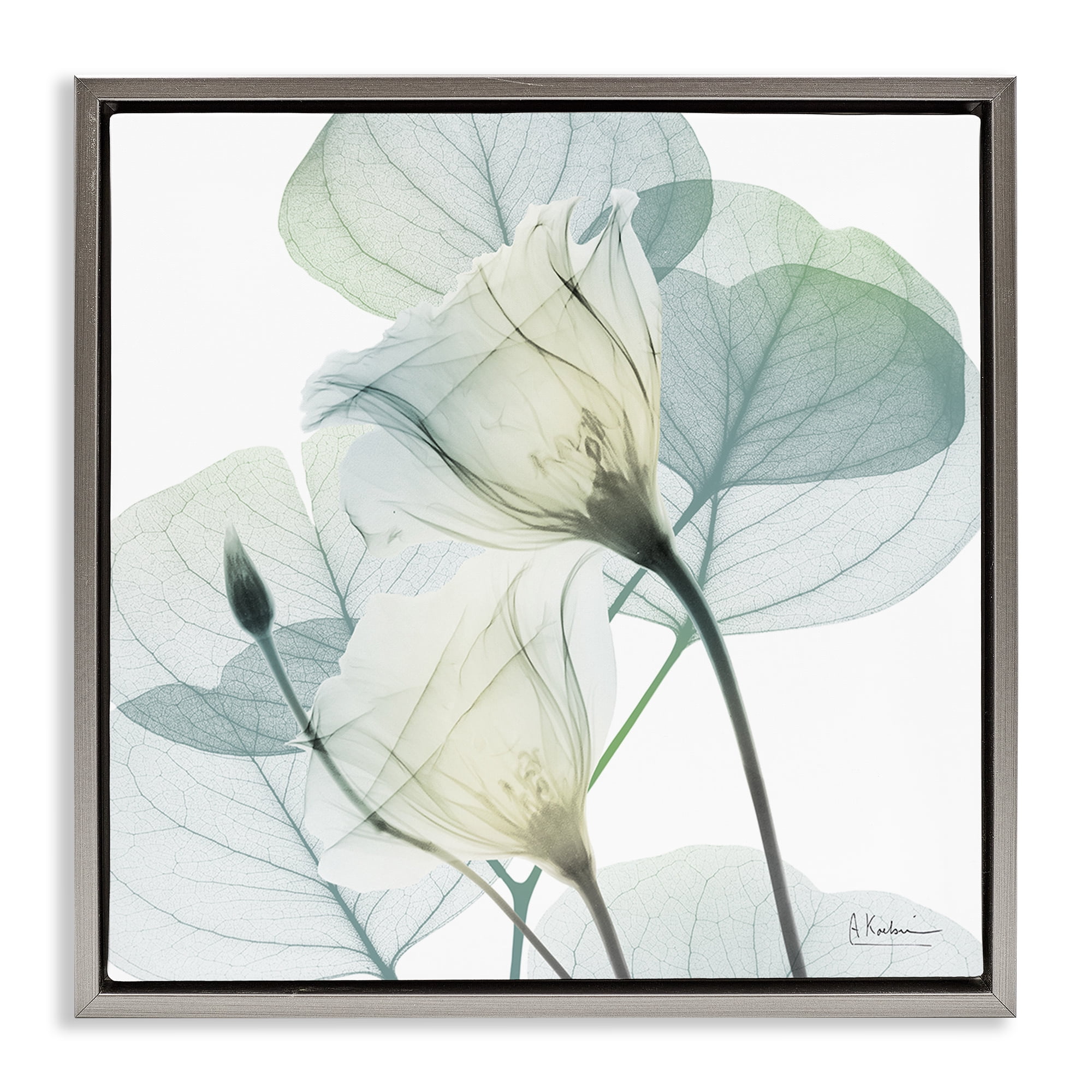 Stupell Industries Divine Fate Petals Gray Framed Floater Canvas Wall Art, design by Albert Koetsier